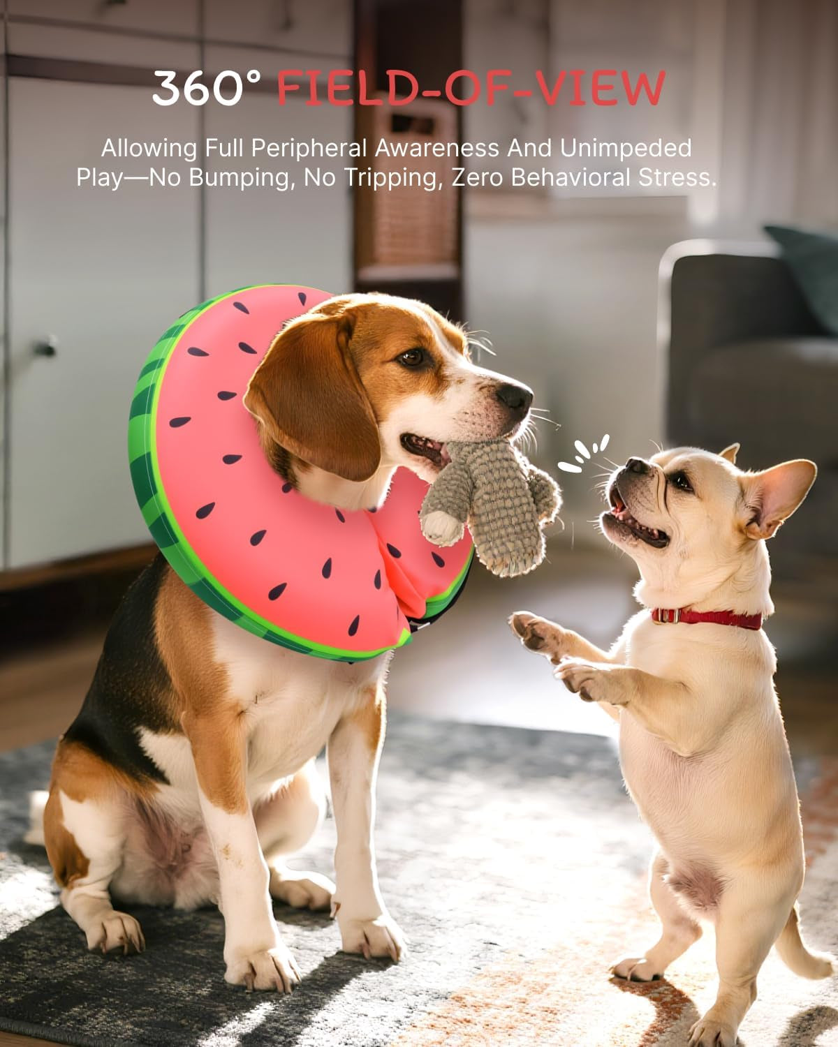MIDOG Soft Inflatable Dog Cone, Donut E-Collar Alternative for after Surgery, Prevents Licking, Allowing Normal Eating & Vision, Comfortable Recovery Collar for Small Medium Large Dogs & Cats, Red-M