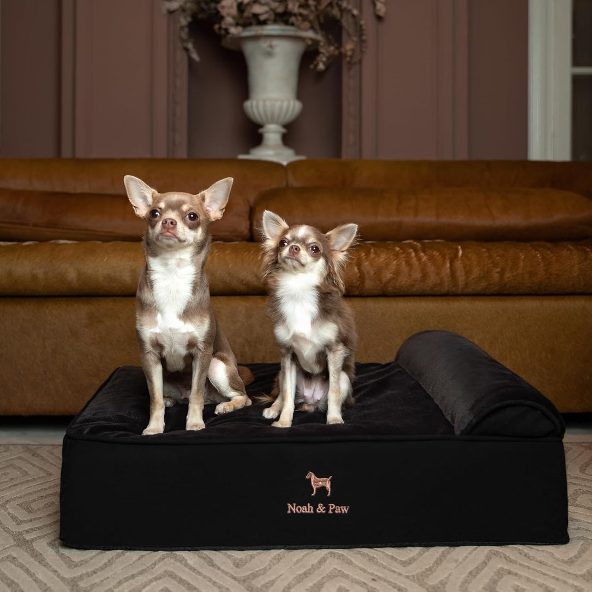 NOAH & PAW Dog Bed, 28X23X7.5 Inch, Orthopedic Dog Beds for Medium Size Pets, Eggshell Memory Foam Infused with Cooling Gel, Water Resistant, Machine Washable, Includes Inner Cover