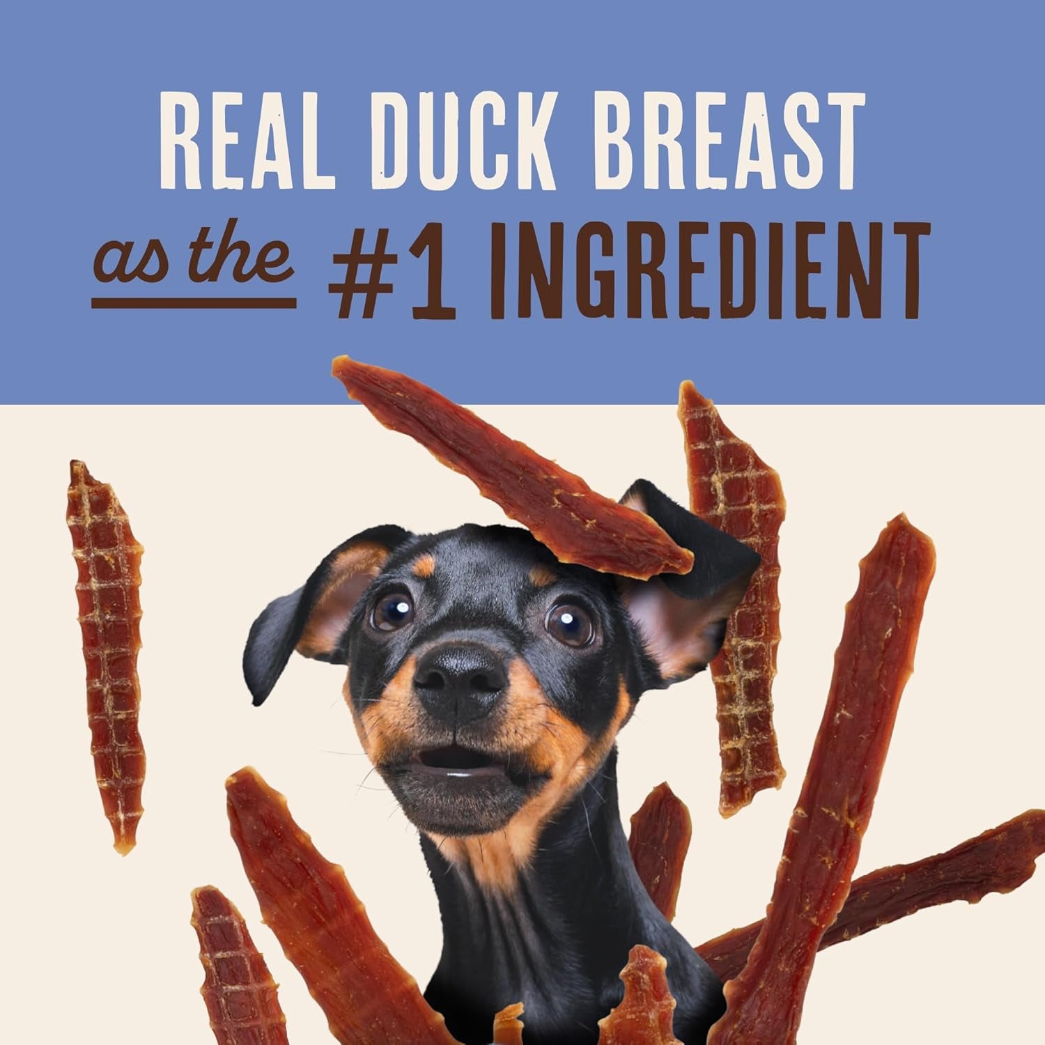 Waggin' Train Duck Jerky Dog Treats for Dogs with Sensitive Stomachs, Made with 100% Real Duck Breasts, Three All-Natural Ingredients, High Protein Dog Treat, Easily Digestible for Dogs, 12 Oz. Pouch
