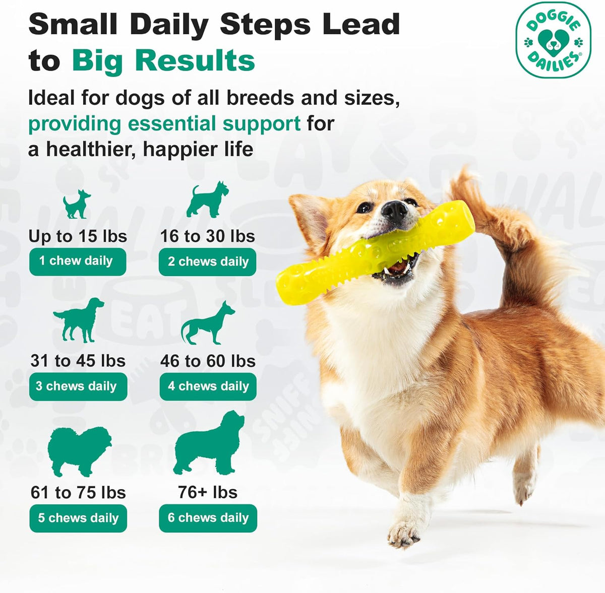 Doggie Dailies Probiotic Soft Chews for Dogs, Pumpkin, 225 Count