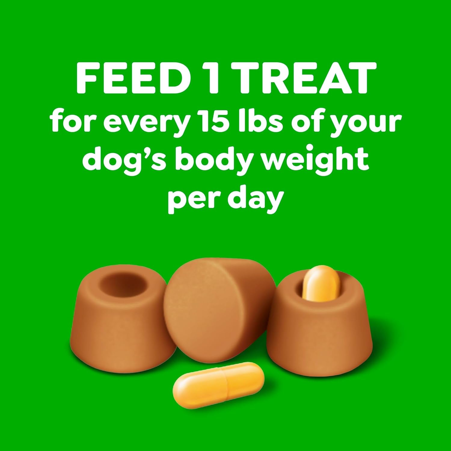 Greenies Pill Pockets for Dogs Large Size, Dog Treat Pouch for Capsule Medication, Peanut Butter Flavor, 15.8 Oz. Pouch