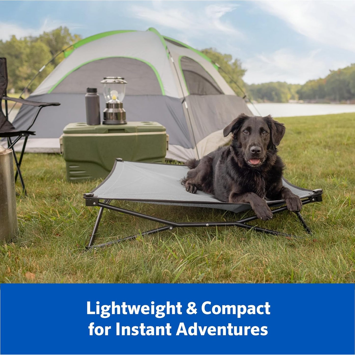 Coolaroo On-The-Go Elevated Dog Bed Kit – Portable & Cooling Travel Cot with Heatshield Fabric for Medium Dogs, Lightweight & Compact, Includes Matching Carry Bag & Everglade Green Bonus Cover, Medium