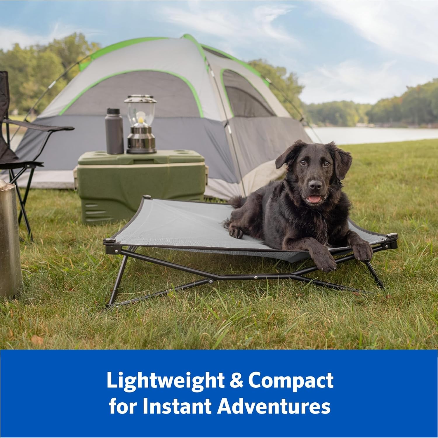 Coolaroo On-The-Go Elevated Dog Bed Kit – Portable & Cooling Travel Cot with Heatshield Fabric for Medium Dogs, Lightweight & Compact, Includes Matching Carry Bag & Everglade Green Bonus Cover, Medium