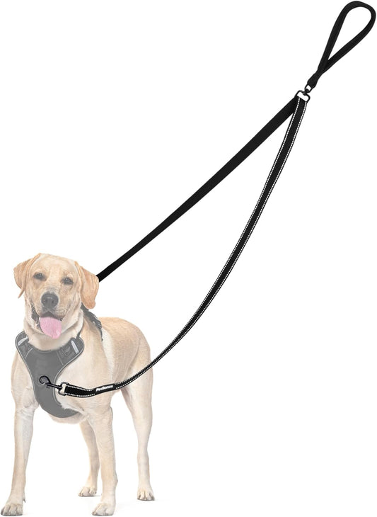 Two Point Control Dog Leash, No Tangle Training Walking Leashes