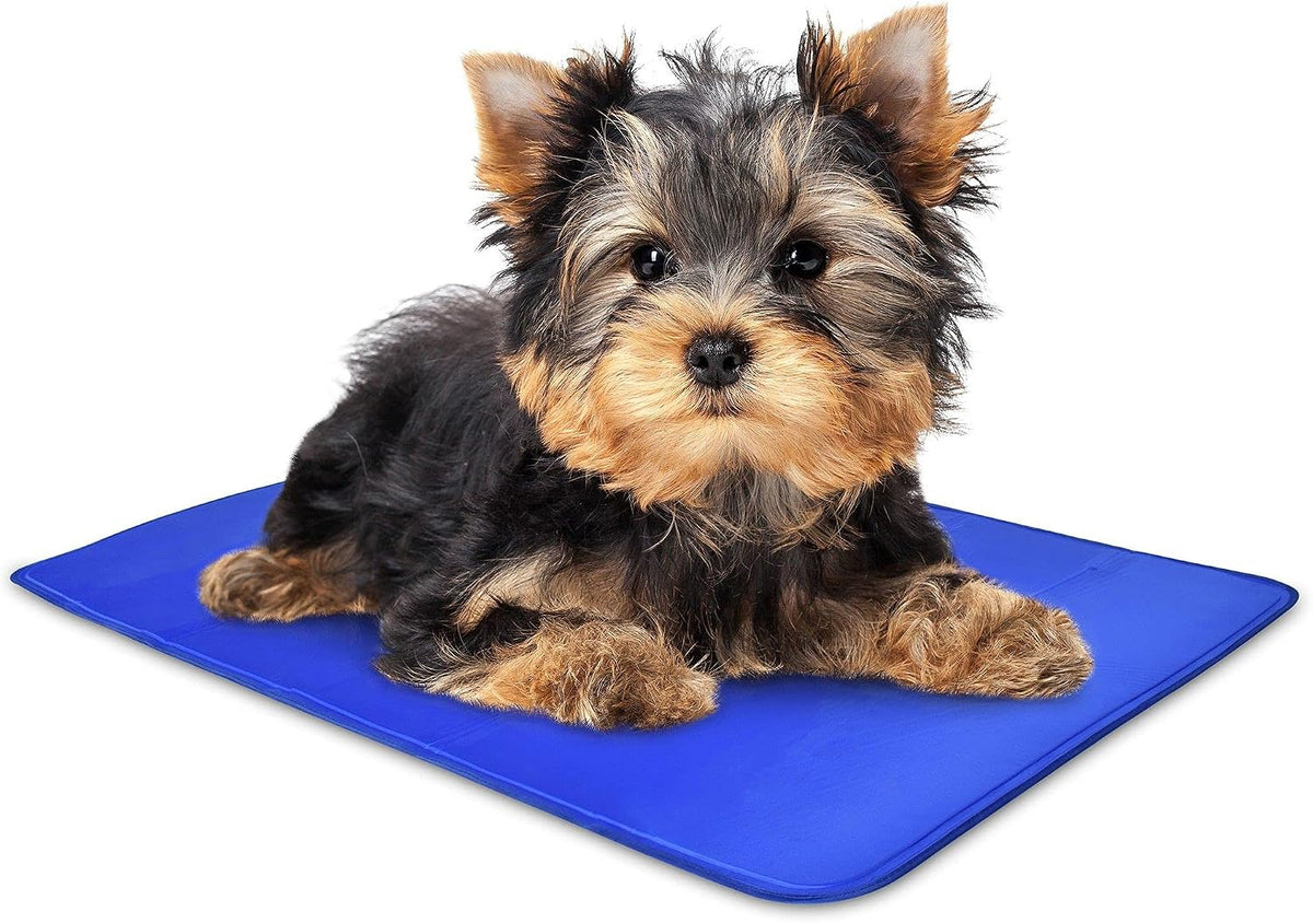 Arf Pets Dog Cooling Mat - Solid Gel Self-Cool Pad | Durable & Non-Toxic