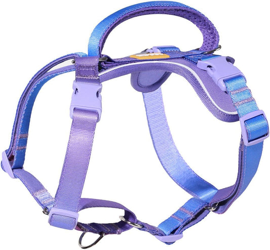 DF Freedom No Pull Martingale Dog Harness, Gentle Control for No Choking, Front Clip Harness with Reflective, Adjustable & Padded Handle for Easy Walking & Training, Rainbow, 1", Chest 22"-30"