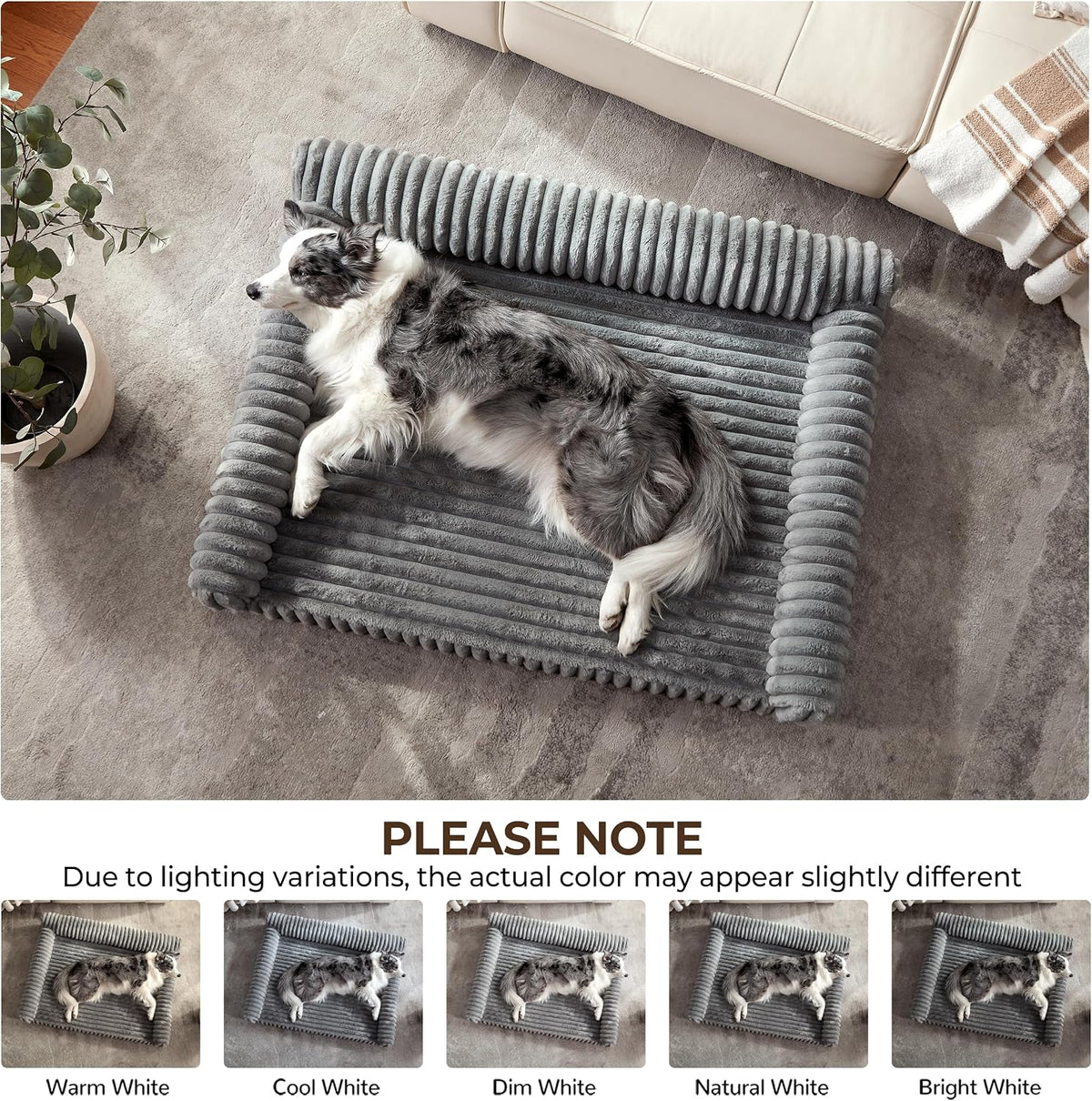 Orthopedic Dog Bed Large 35X25X9.5” Washable Cover Grey