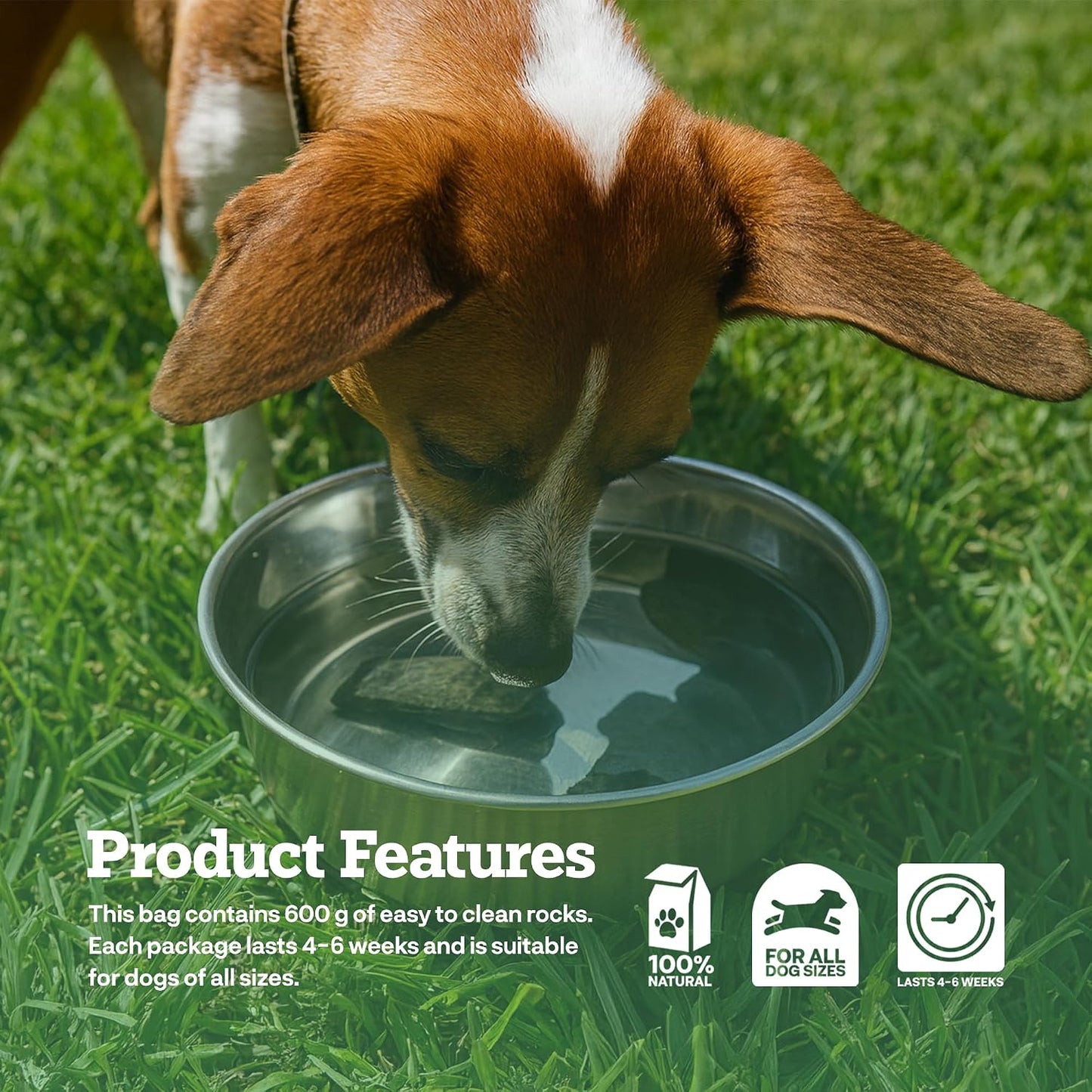 Dog Rocks - Natural Lawn Protector - 600G - Prevents Dog Urine Burn Patches on Grass - Dog Wee Neutraliser for Lawn Repair - Pet Urine Neutralizer for Artificial & Natural Grass
