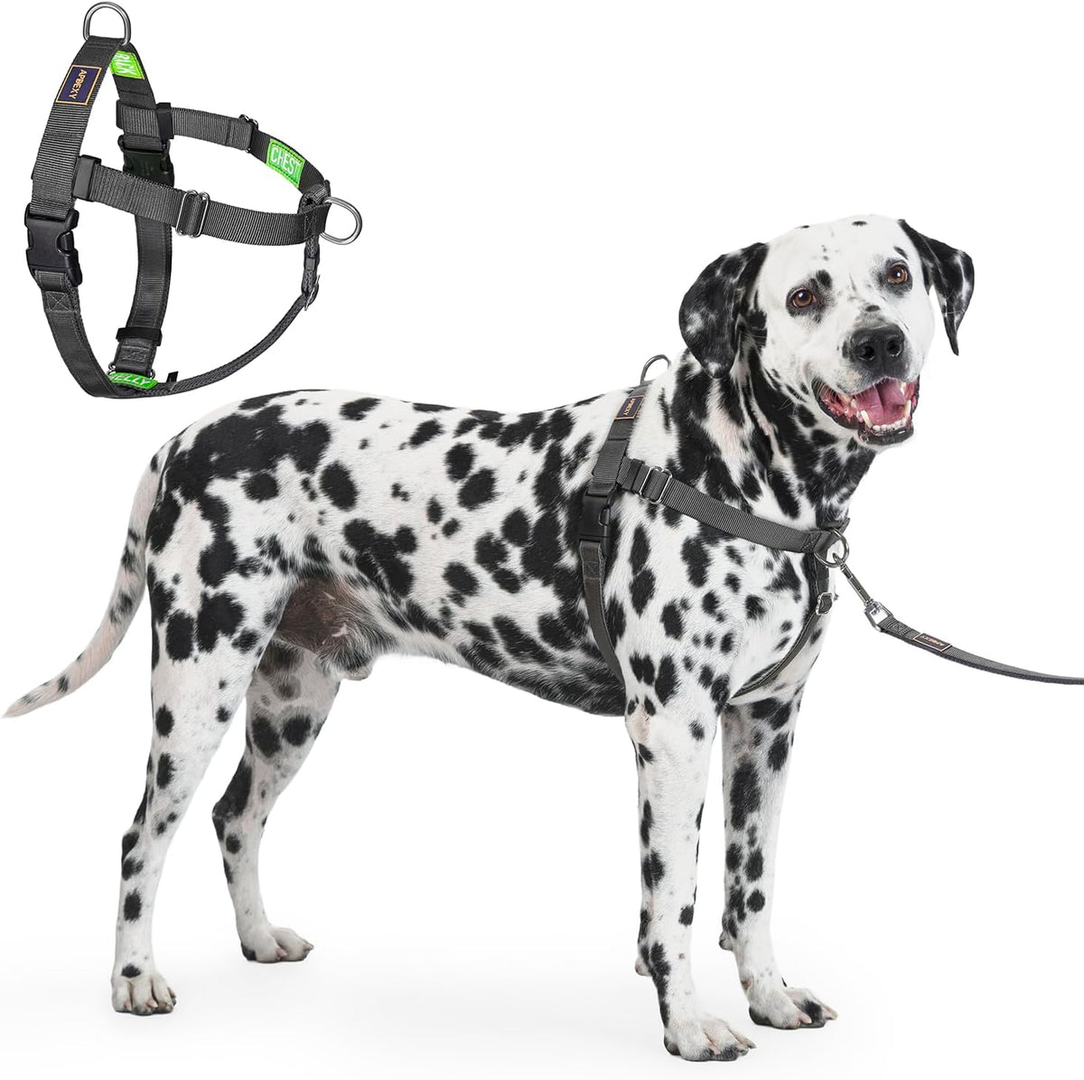 Freedom No Pull Dog Harness, Large Dogs, Black, Xx-Large