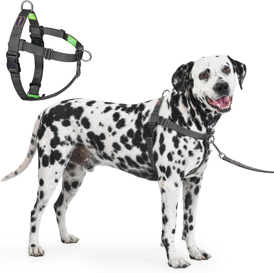 Freedom No Pull Dog Harness, Large Dogs, Black, Xx-Large