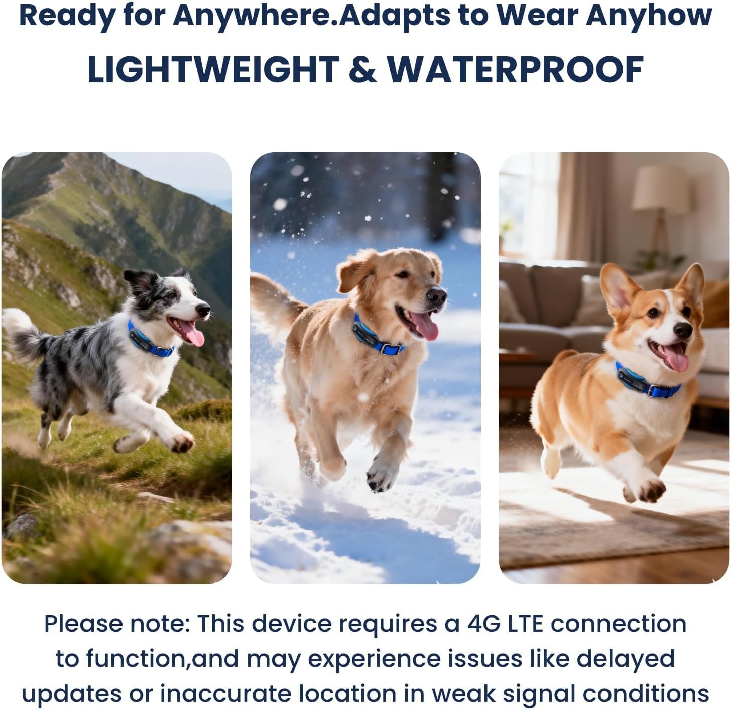 DBDD AI GPS Tracker for Dogs (White) with Virtual Fence & Real-Time Location - Waterproof Electronic Collar for Escape Artists, AI Health Monitor for Medium to Large Dogs (30Lbs+), Ios & Android