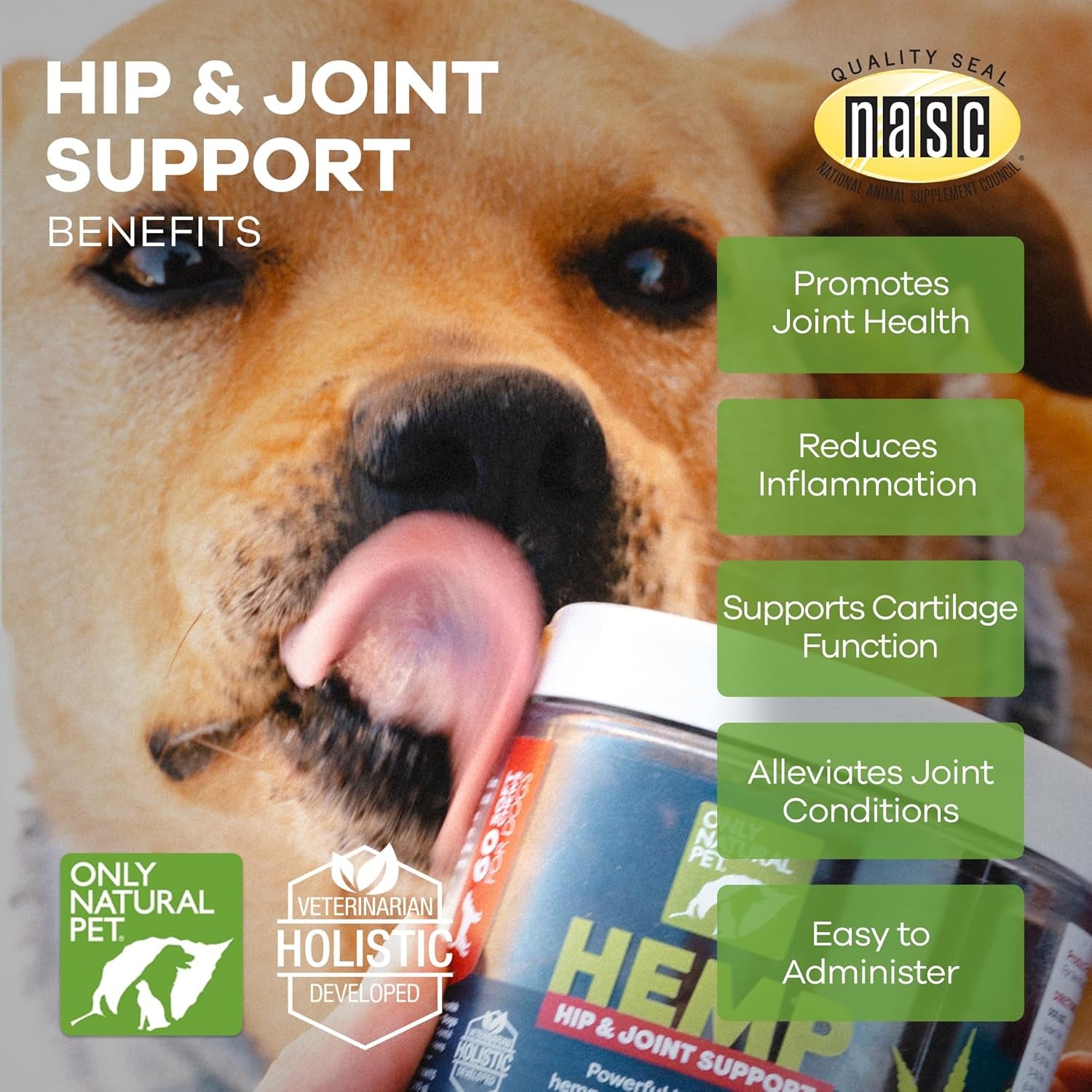Only Natural Pet Hemp Hip & Joint Support for Dogs - Supplement for Mobility Wellness Pain Relief Healthy Inflammatory & Bone Stiffness - Chews W/Fatty Acid Blend Mussels & Turmeric - 60 Count (H/J)