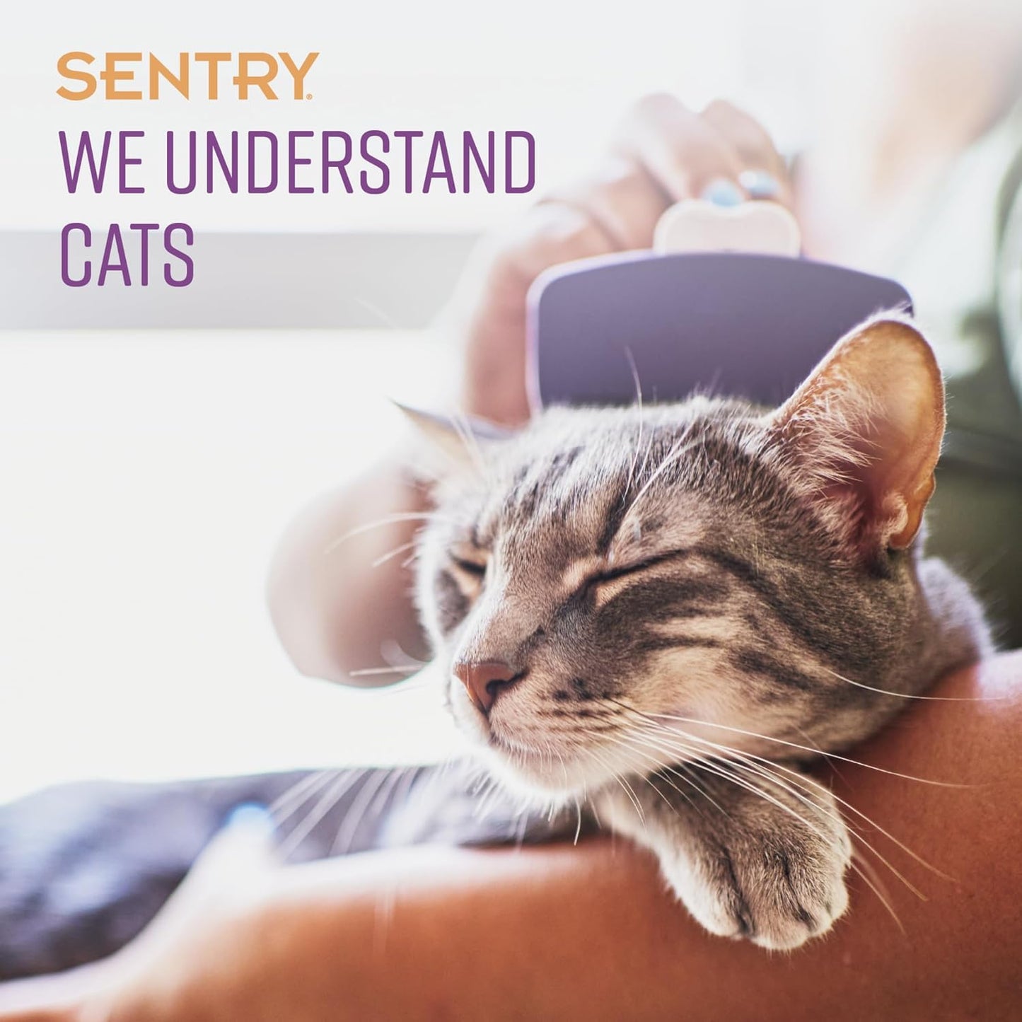 Sentry Calming Chews for Cats, Calming Aid Helps to Manage Stress, with Pheromones That May Help Curb Destructive Behavior, Calming Health Supplement for Cats, 4 Oz.