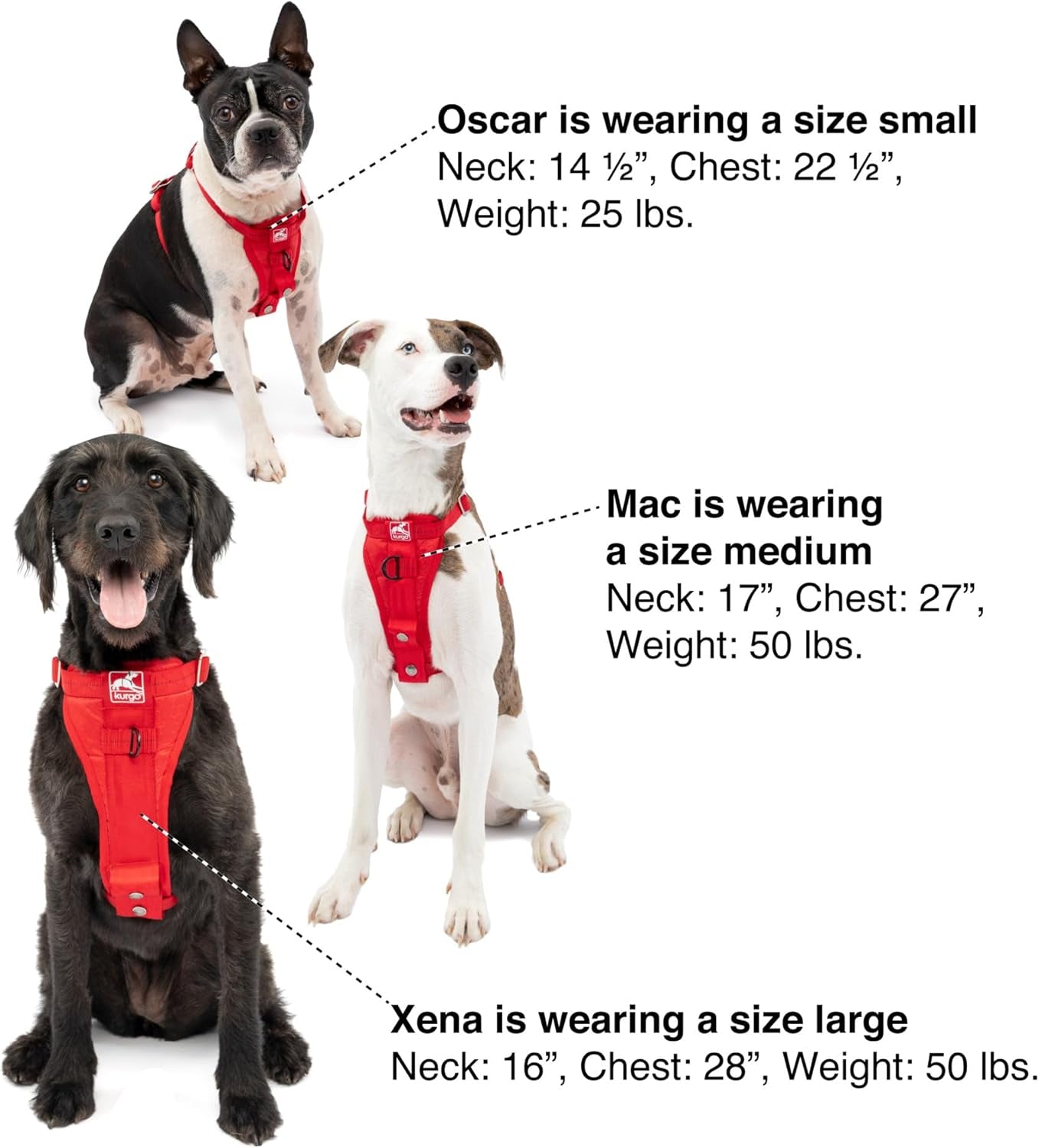 Kurgo Enhanced Strength Tru-Fit Dog Car Harness - Pet Travel Safety Harness - Crash Test Certified Fit - Five Point Adjustment - Secure Buckle - Padded Chest - Black - X-Large