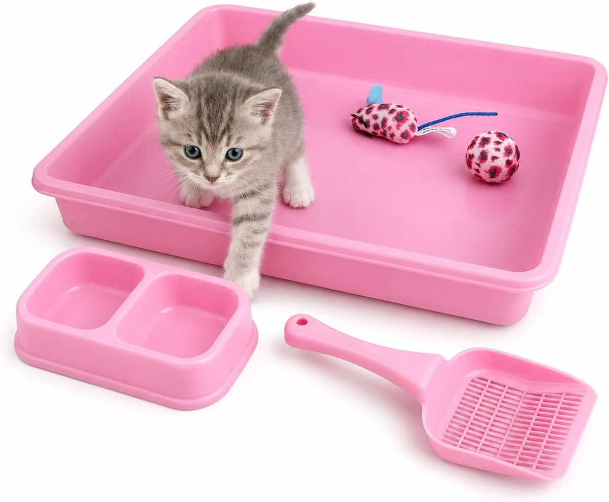 Kitten Starter Kit, Pink, 5-Piece