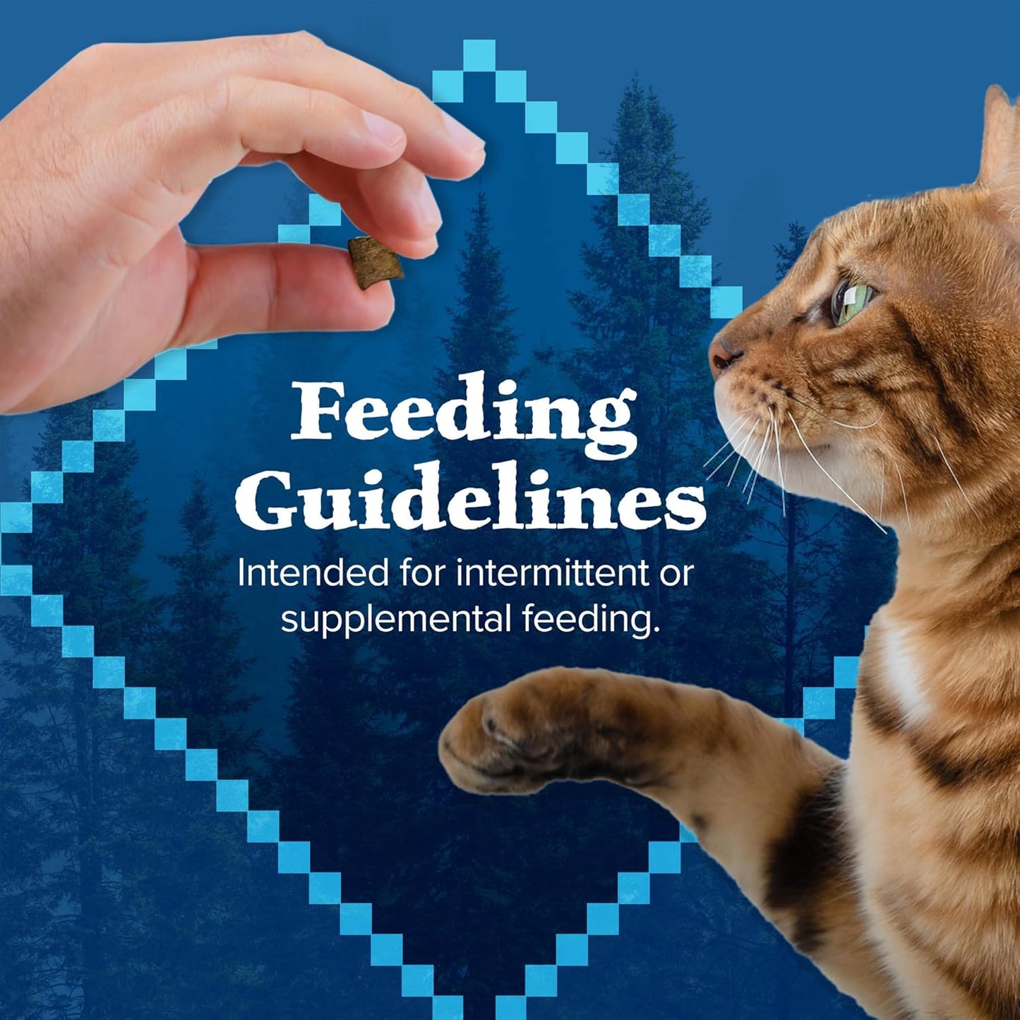 Blue Buffalo Wilderness Crunchy Cat Treats, Made with Natural Ingredients, Tasty Salmon Flavor, 12-Oz Tub