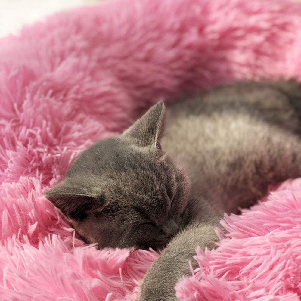 Cat Bed for Indoor Cats,Mini Plush Self Warming Kitten Bed, 20 Inch