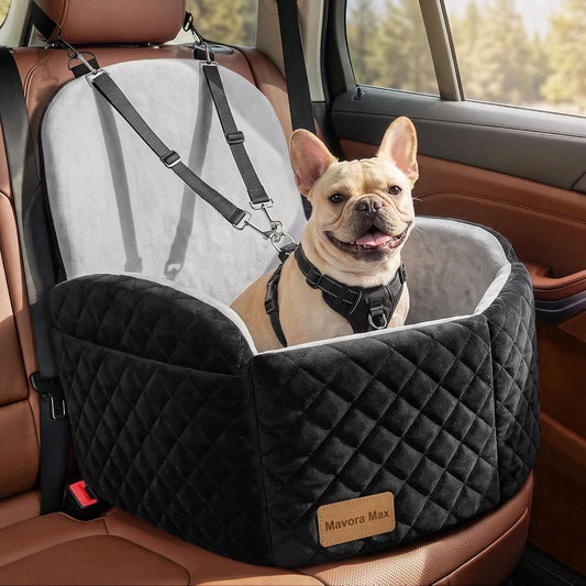 Dog Car Seat for Small/Medium Dogs & Puppies up to 35Lbs, Elevated Booster, Pet Carrier & Car Bed, Memory Foam, Washable Cover, 2 Safety Leashes, Non-Slip, Grey