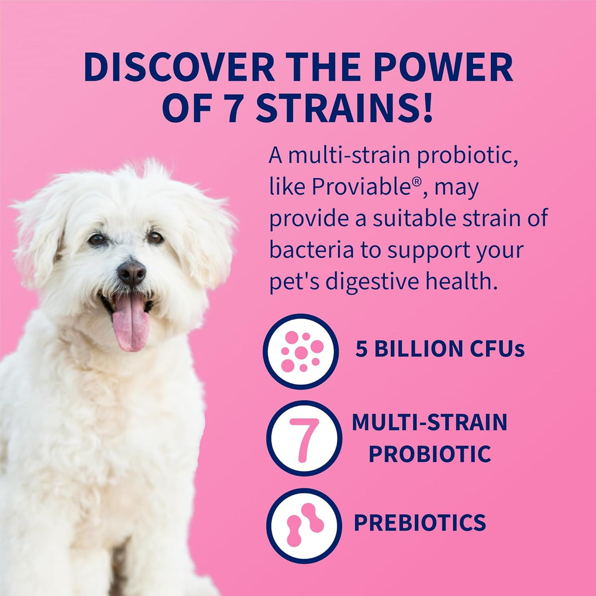 Nutramax Proviable Probiotics + Prebiotics, for Dogs & Cats, Capsules, 80Ct