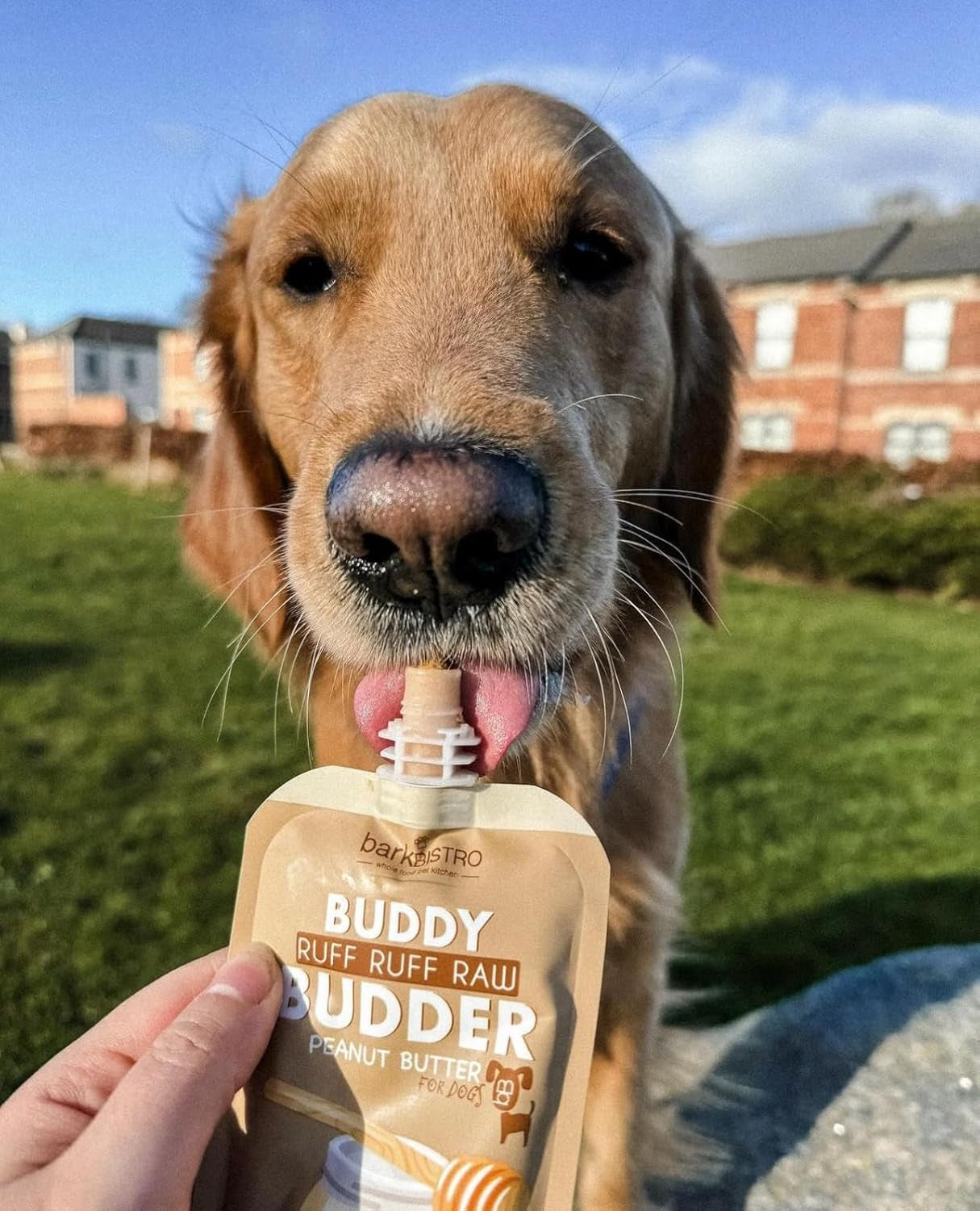 BUDDY BUDDER 6 Pack Mixed Flavor Squeeze Packs, 100% Natural Dog Peanut Butter, Healthy Peanut Butter Dog Treats, Made in USA, (4Oz Packs)