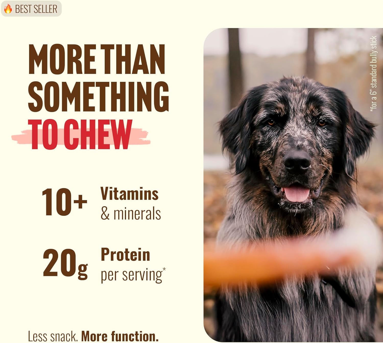 Natural Farm Odor-Free Thick Bully Sticks (6”, 5-Pack) All-Natural Long-Lasting Dog Chews, 100% Beef Pizzle, Grass-Fed, Grain-Free, Protein for Muscle Development & Energy, Perfect for Medium Chewers