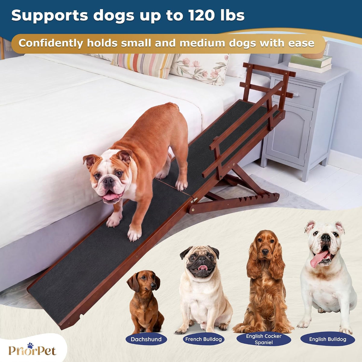 Dog Ramp for Bed - PRIORPET Birchwood Adjustable Ramp for Dogs to Get on Bed: Dog Ramps for High Beds up to 37 Inches – Foldable Ramp, Anti-Slip Grip & Safety Rails, Small Dogs up to 120Lbs – Walnut