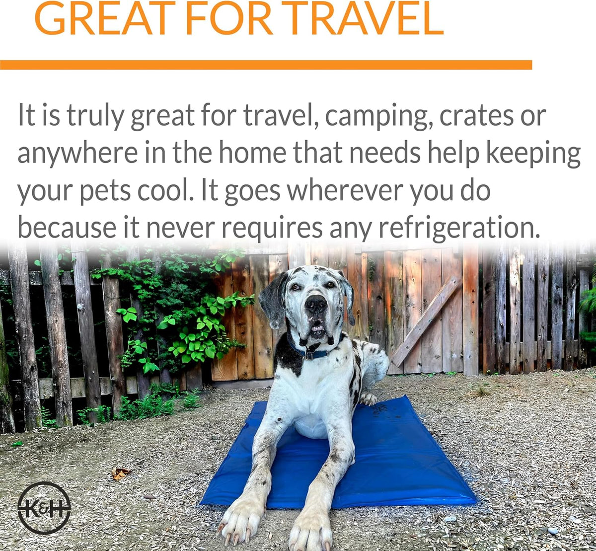K&H Dog Cooling Mat, Coolin' Pet Pad - Medium 20X15In Chill Blue