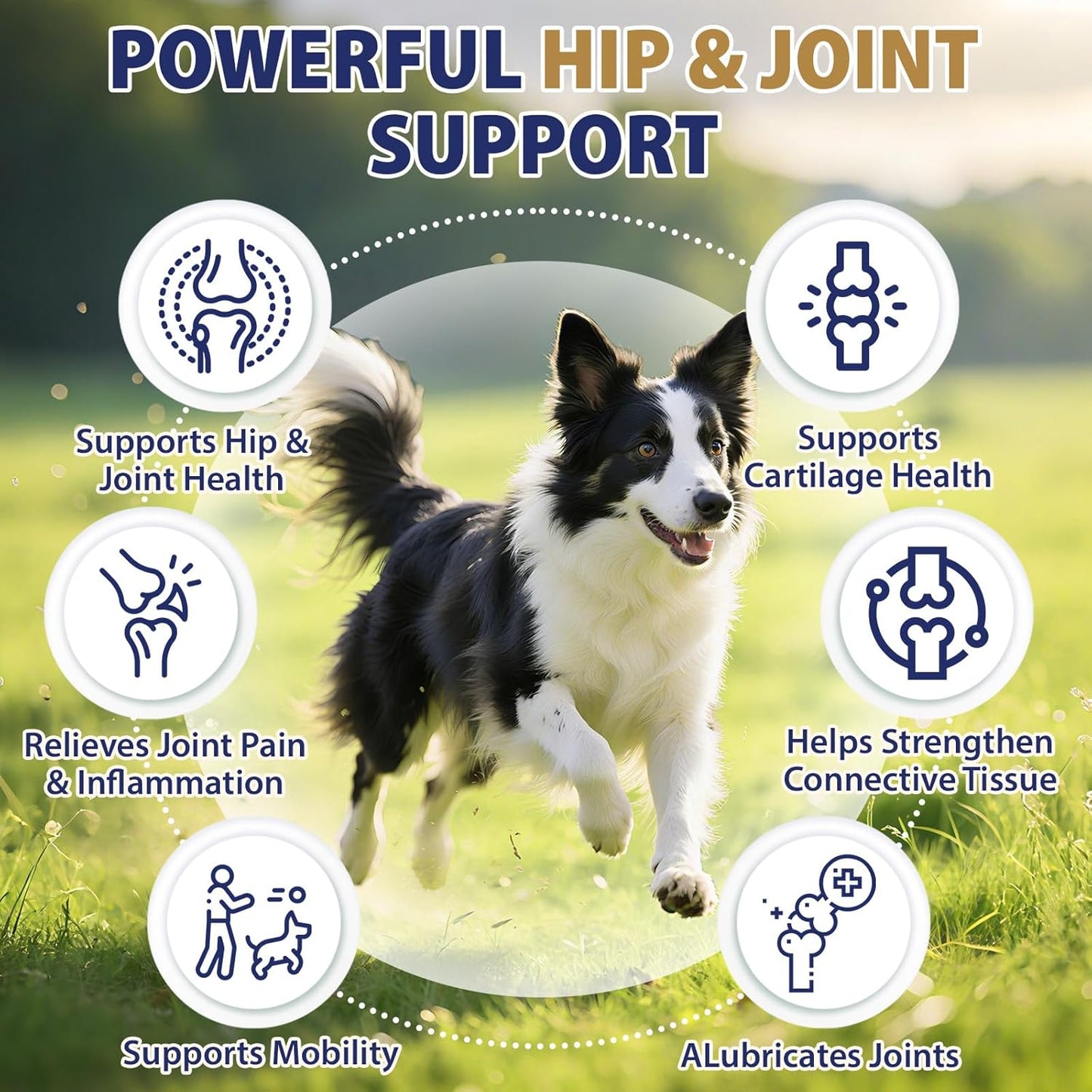 Hip and Joint Supplement for Dogs 200 Dog Calming Chews with Glucosamine, Chondroitin, Msm, Omega3, Melatonin for Senior Dogs Anxiety Pain Relief anti Inflammatory Small/Medium/Large Dog -Chicken