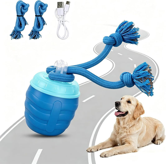 Interactive Dog Toys, Chase Buddy Dog Toy for Boredom, Blue
