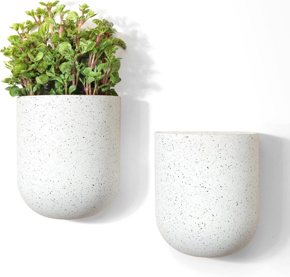 LA Jolie Muse Wall Planters for Indoor Plants, Hanging Flower Pots, 2 Pack