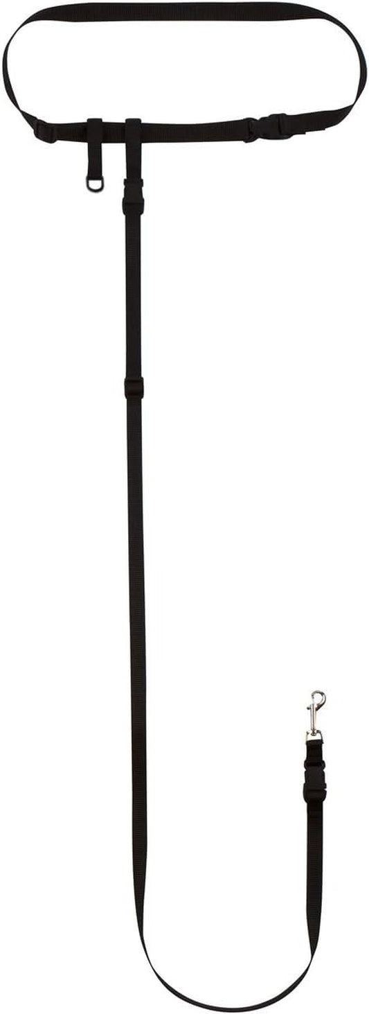 The Buddy System - Hands Free Dog Leash - Small Dog, Large Belt, Black