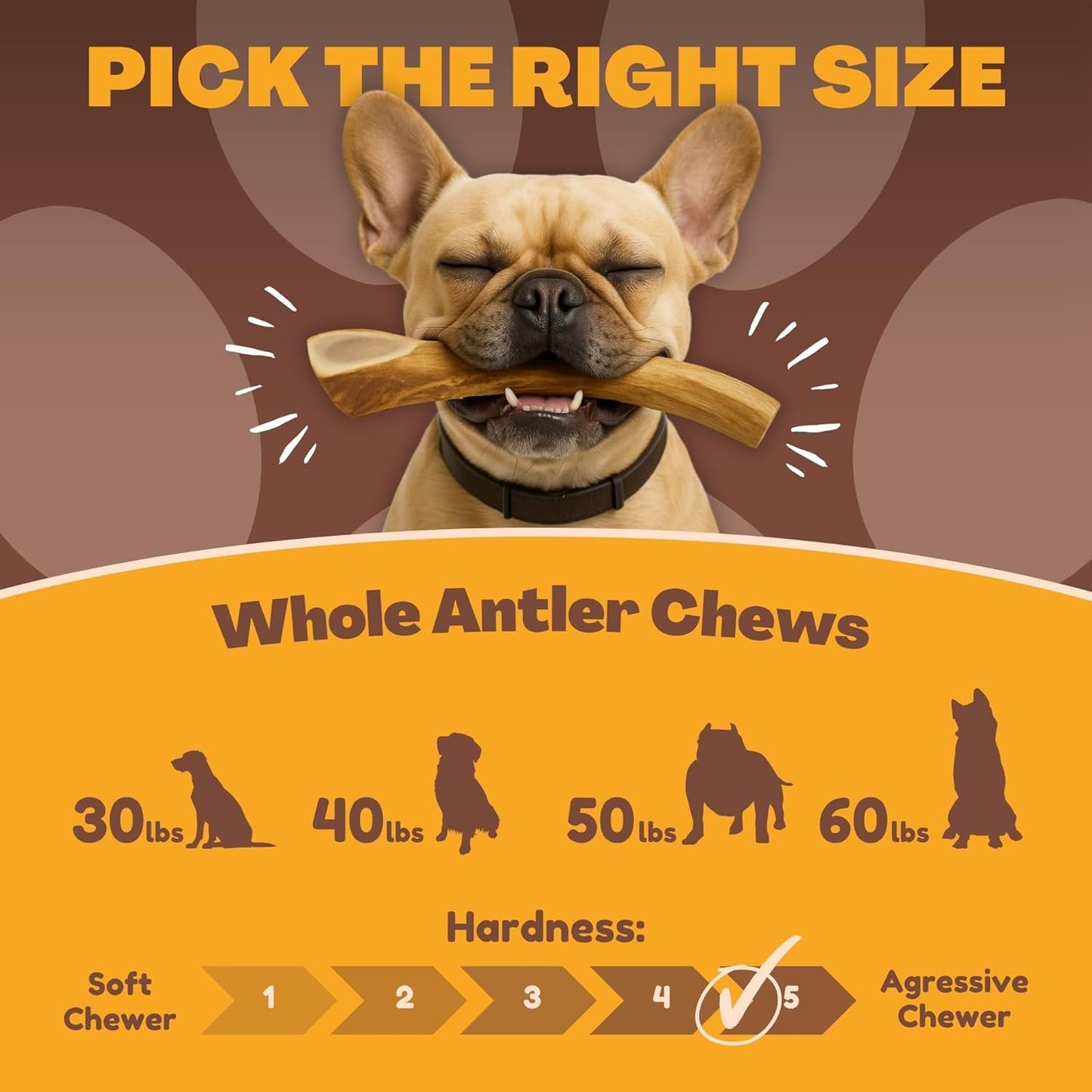 Whitetail Naturals Deer Antlers for Dogs (1 Lb Bulk Pack) Premium Antler Chews for Medium to Large Dogs – Grade A, Wild Sourced & Naturally Shed (Approx. 4-5 Count)