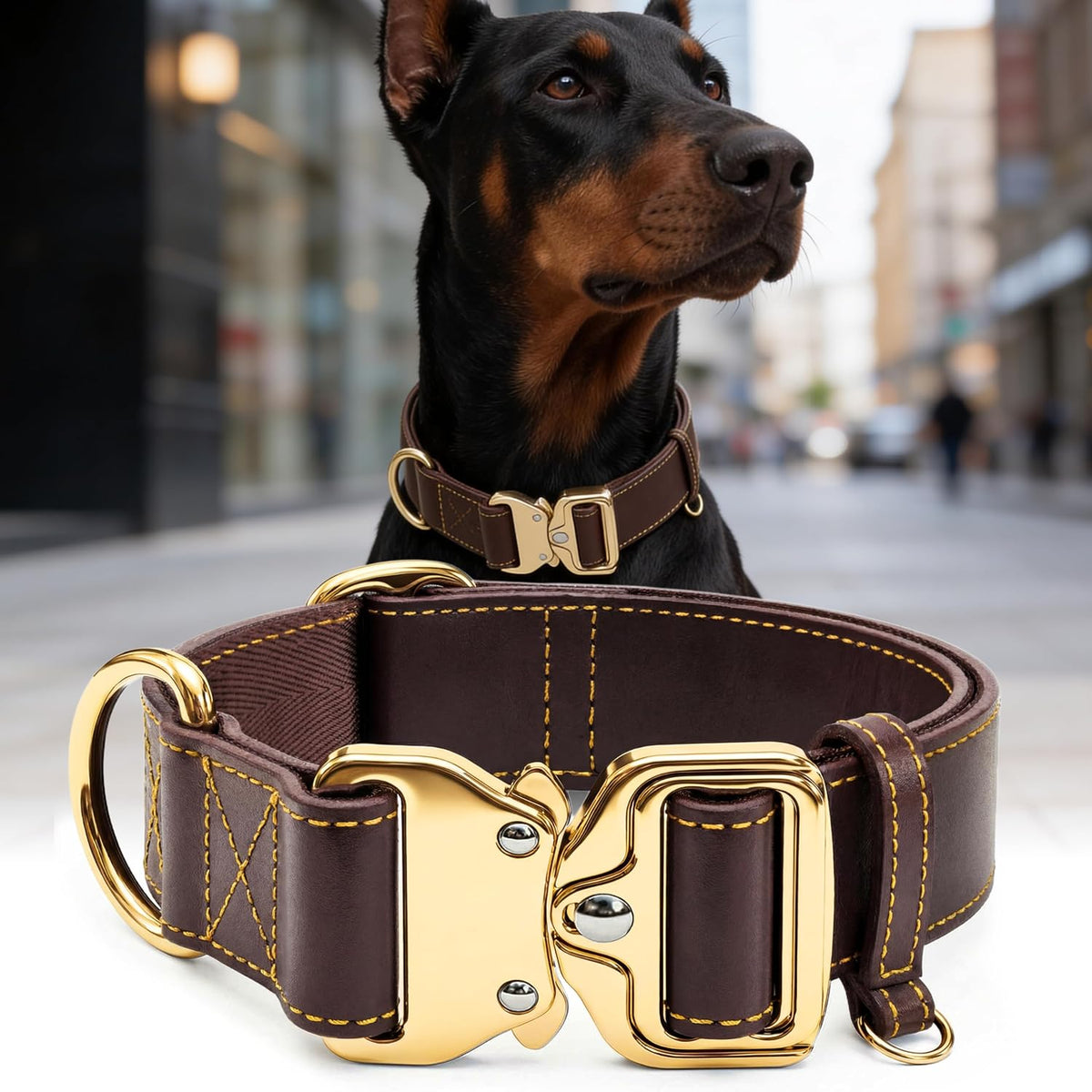Leather Dog Collar 1.5In Wide, Quick-Release and Adjustable Design, Bn-Gd-L