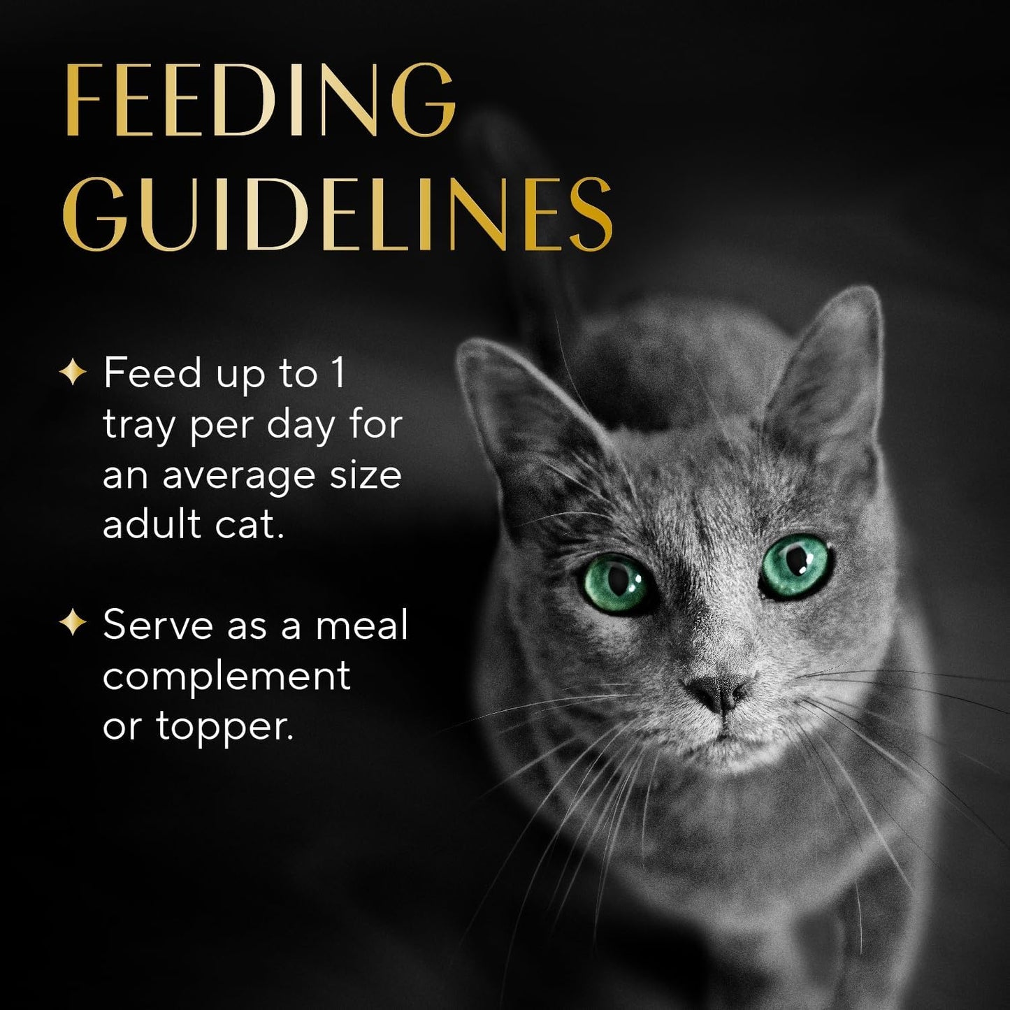 Sheba Selections Filets in Broth, Adult Cat Food Wet Recipe, Meal Complement, Wet Cat Food Variety Pack, Chicken & Shrimp Recipe, 1.3 Oz. Cups, 12 Count