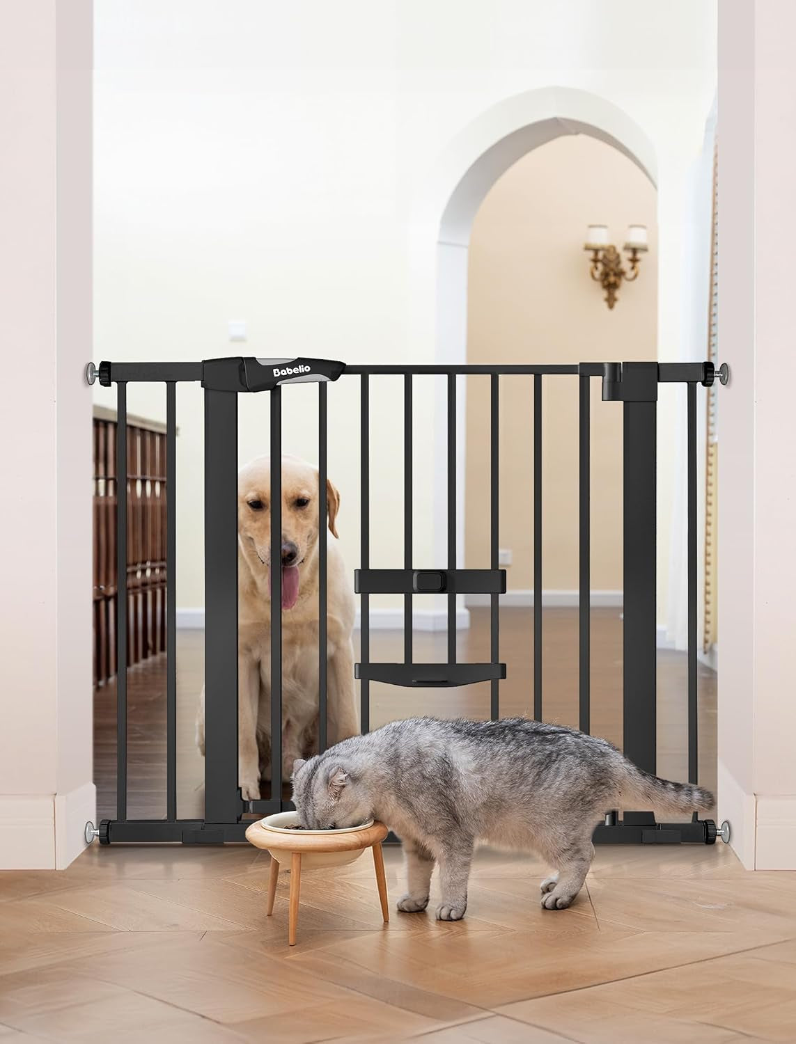Babelio Dog Gate with Cat Door, Catprivilege II, 29-40", Black
