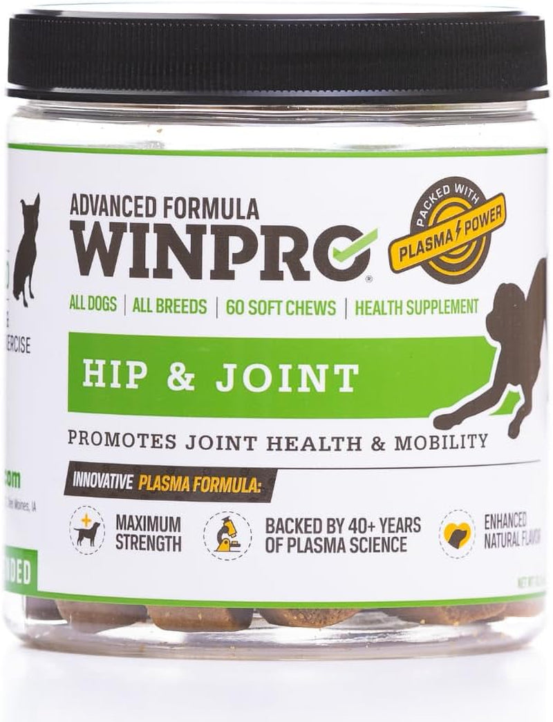 WINPRO Hip & Joint Supplement for Dogs - Plasma Powered Soft Chews for Joint Health & Mobility – Fast-Acting with Collagen & Natural Ingredients for Dogs of All Breeds – 60 Chews