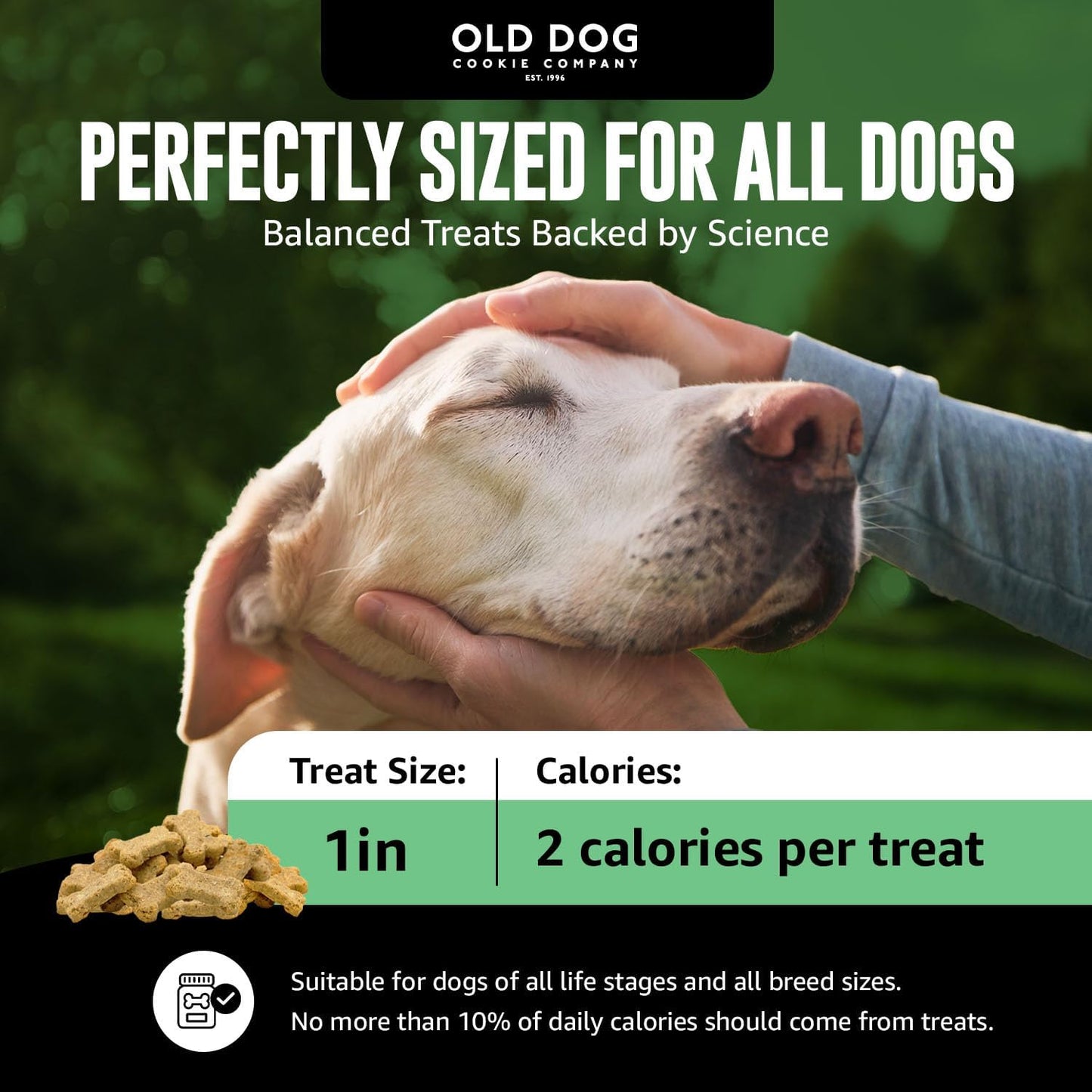Old Dog Cookie Company Tiny Diabetic Dog Treats | All Natural, 2 Calorie, Vet Approved Pet Snacks | Top Treat for Dogs | Healthy Chews for Large, Medium & Small Breeds | 8 Oz