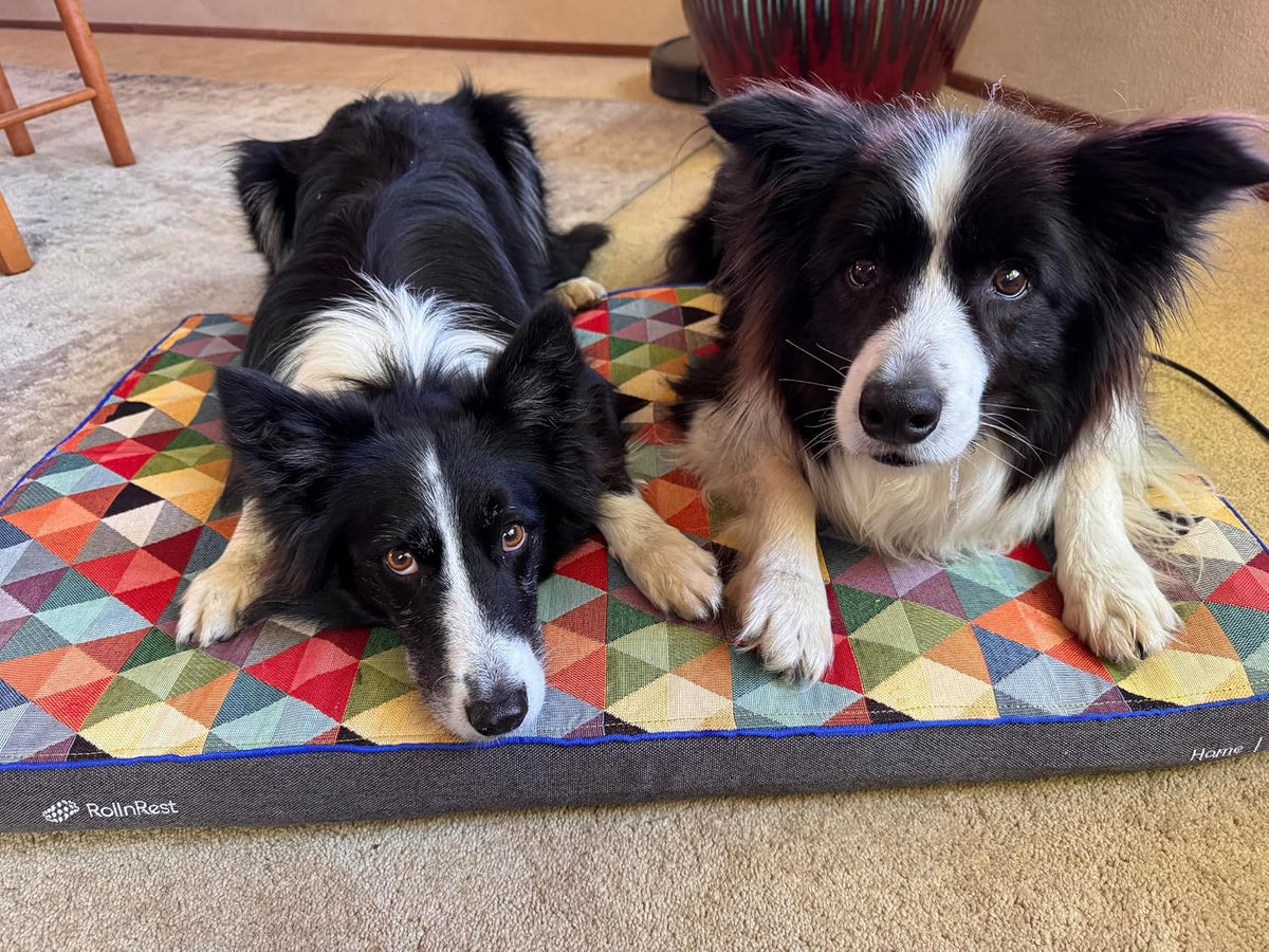 Rollnrest Therapeutic PEMF Dog Bed – Orthopedic Cooling Memory Foam Bed for Dogs with Joint Support & Recovery, Elara Cover, Medium 35.4" X 23.6"