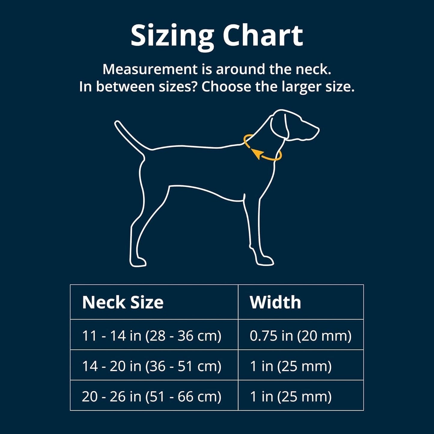Ruffwear, Crag Dog Collar, Stylish Adventure Collar with Premium Reflective Design, Quick Release Buckle, Lightweight All-Day Comfort, Rising Wave, 20"-26"