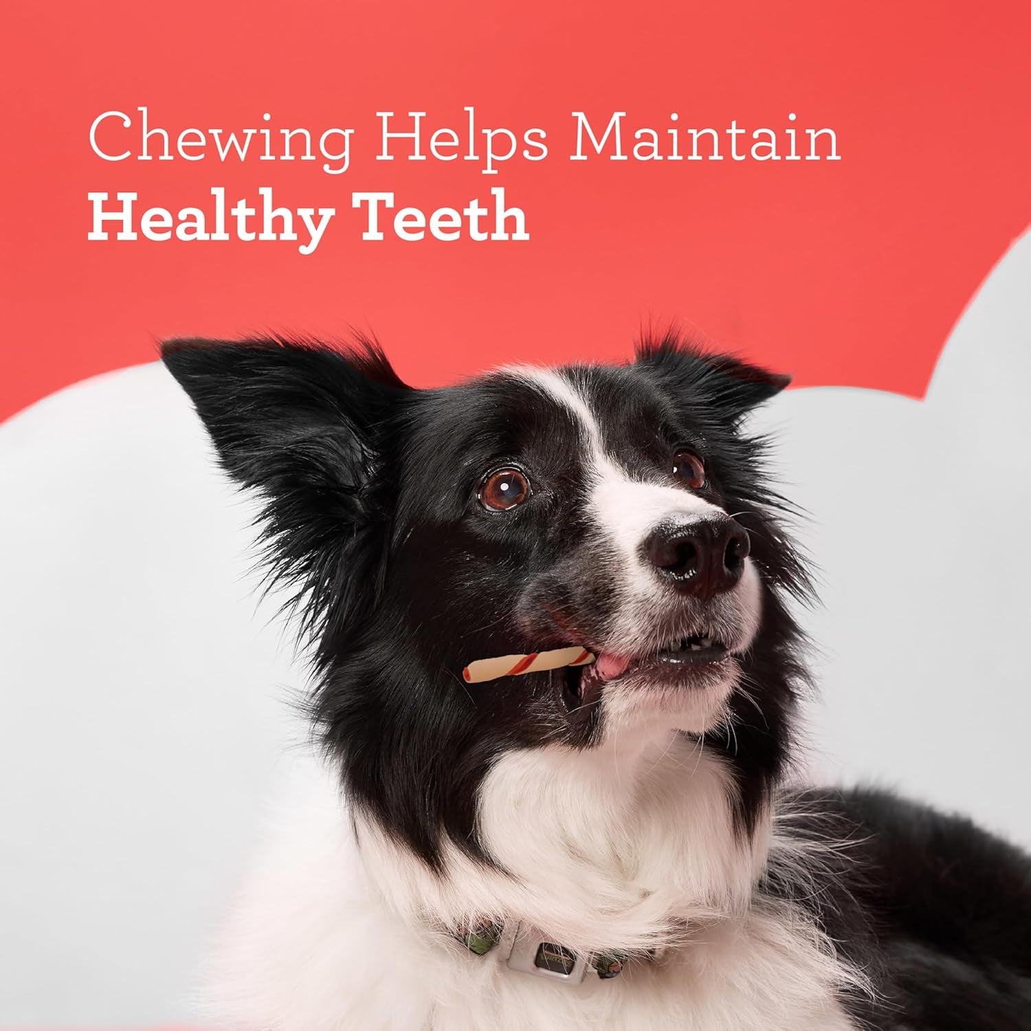 Dreambone Twist Sticks Chews for Dogs, Treat Your Dog to Easy-To-Digest Rawhide-Free Chews Made with Real Vegetables and Chicken, 50 Count