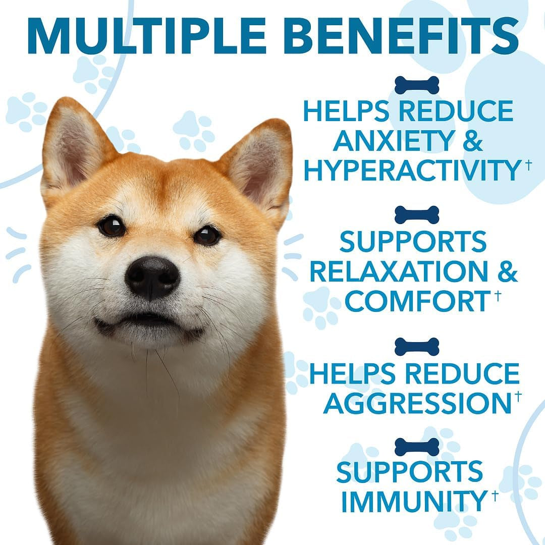 Hemp Calming Chews for Dogs with Anxiety and Stress - Anxiety Relief Chews for Storms, Fireworks, Thunder, Barking, Separation - Valerian, L-Tryptophan, Hemp Oil - Chicken - 120 Dog Calming Treats