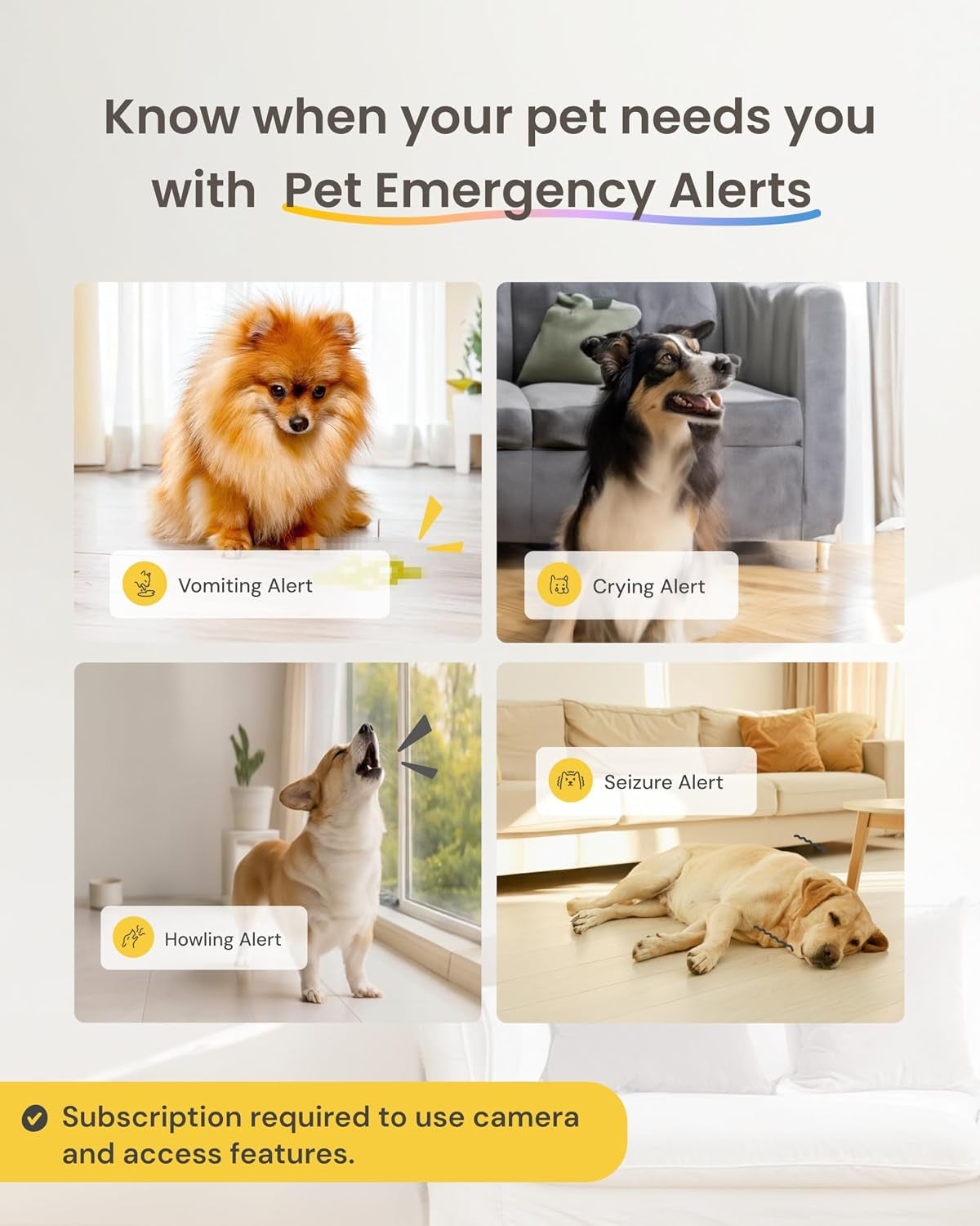 Furbo 360° Dog Camera [Paid Plan Required to Activate]