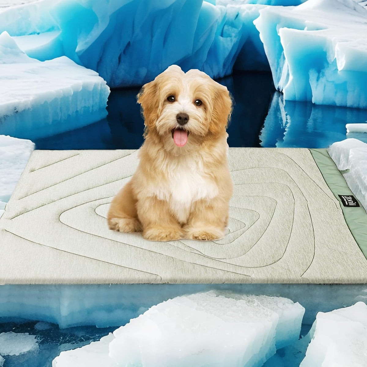 Zonli Dog Cooling Mat, 40" X 27" Medium, Cooling Pad Waterproof, Pet Cool Mats for Dogs and Cats Use in Crate, Tunk, Camping, Outdoors, Portable, Machine Washable, Durable, without Gel,Green