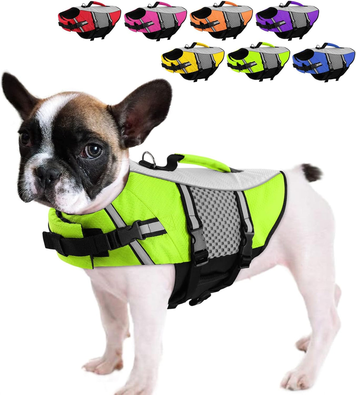 Queenmore Dog Life Jacket - Puppy Float Vest for Swimming Boating Kayaking