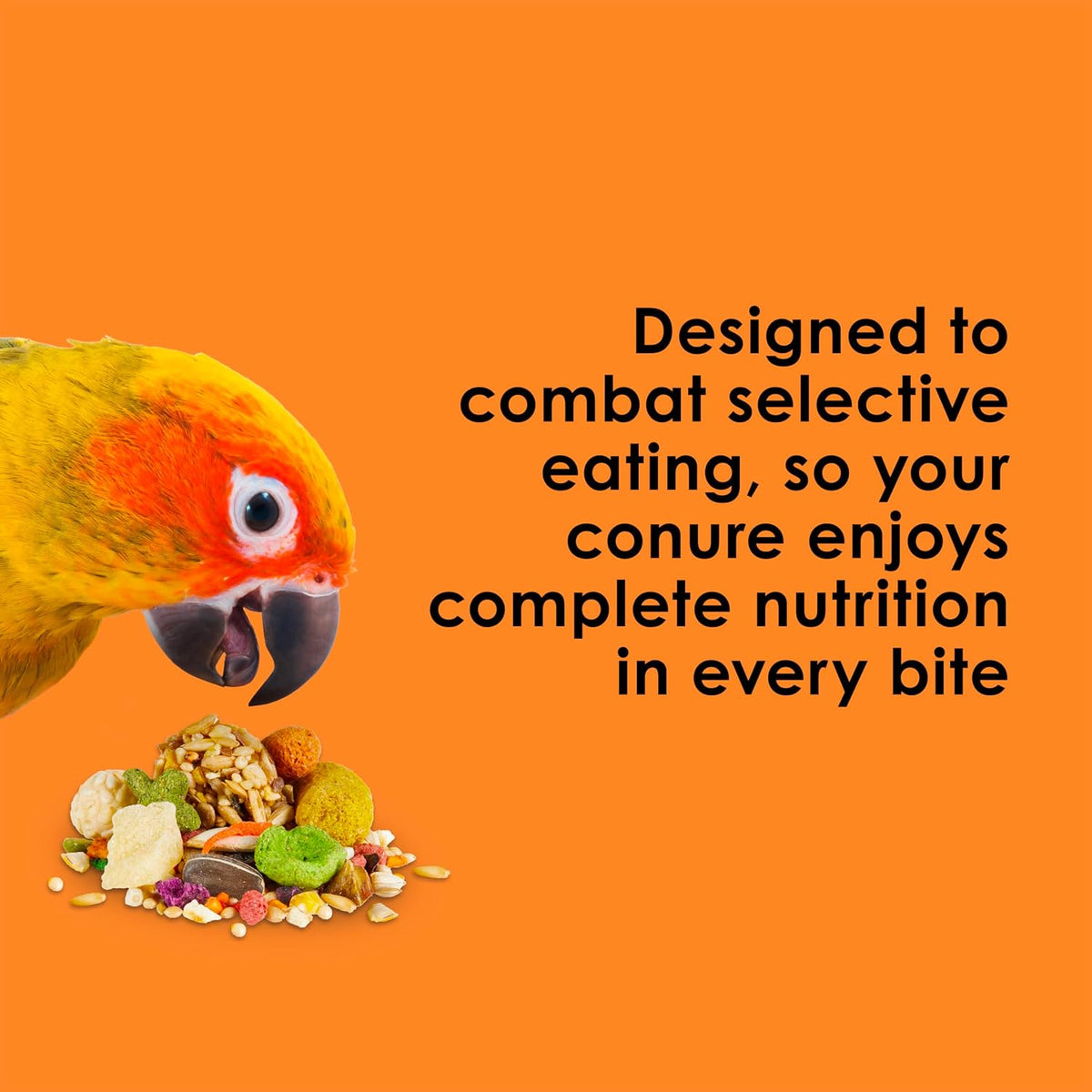 Kaytee Fiesta Conure Bird Food, Nutritious Fun Blend, 4.5 Pounds