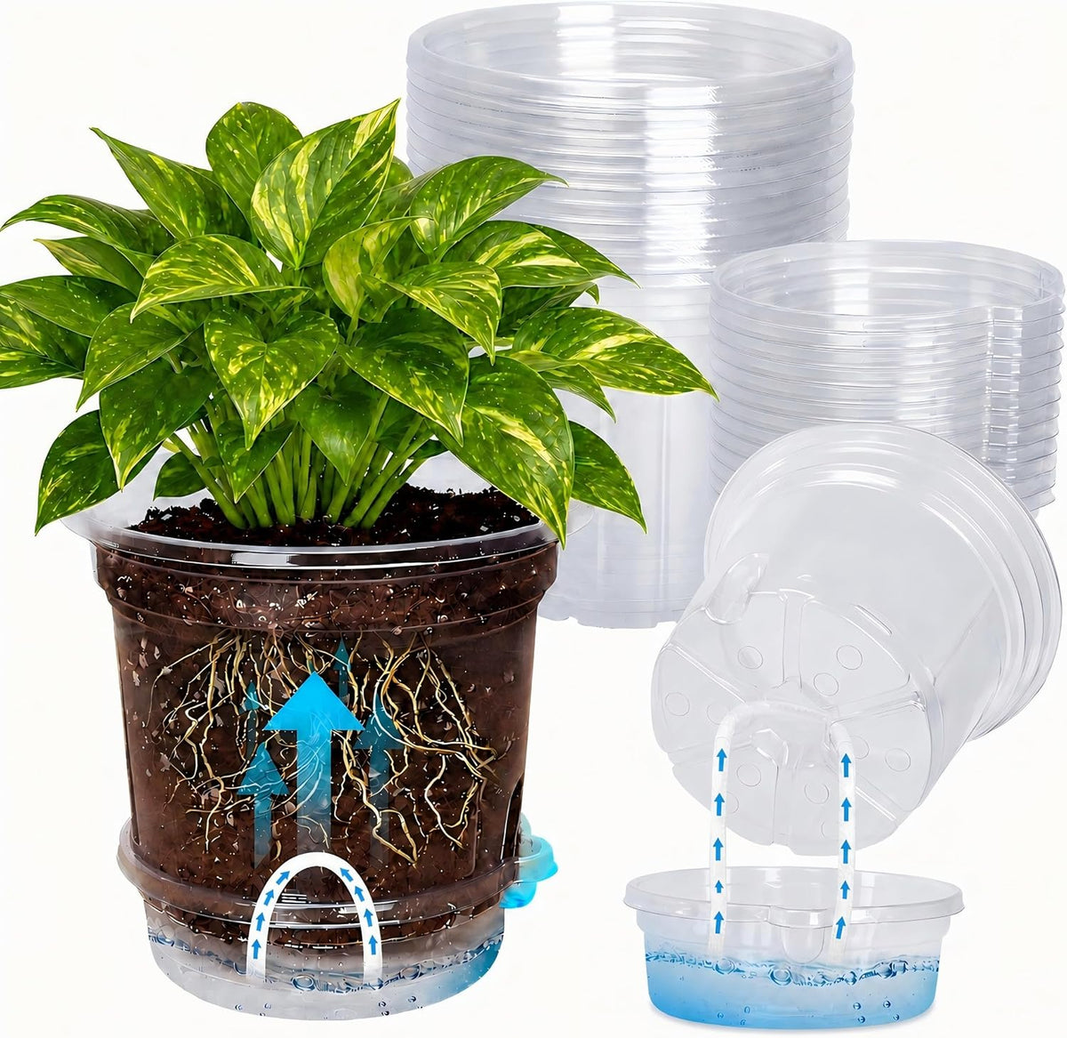MIXC 12 Pack 5 Inch Self Watering Pots for Indoor Plants with Wicking Rope