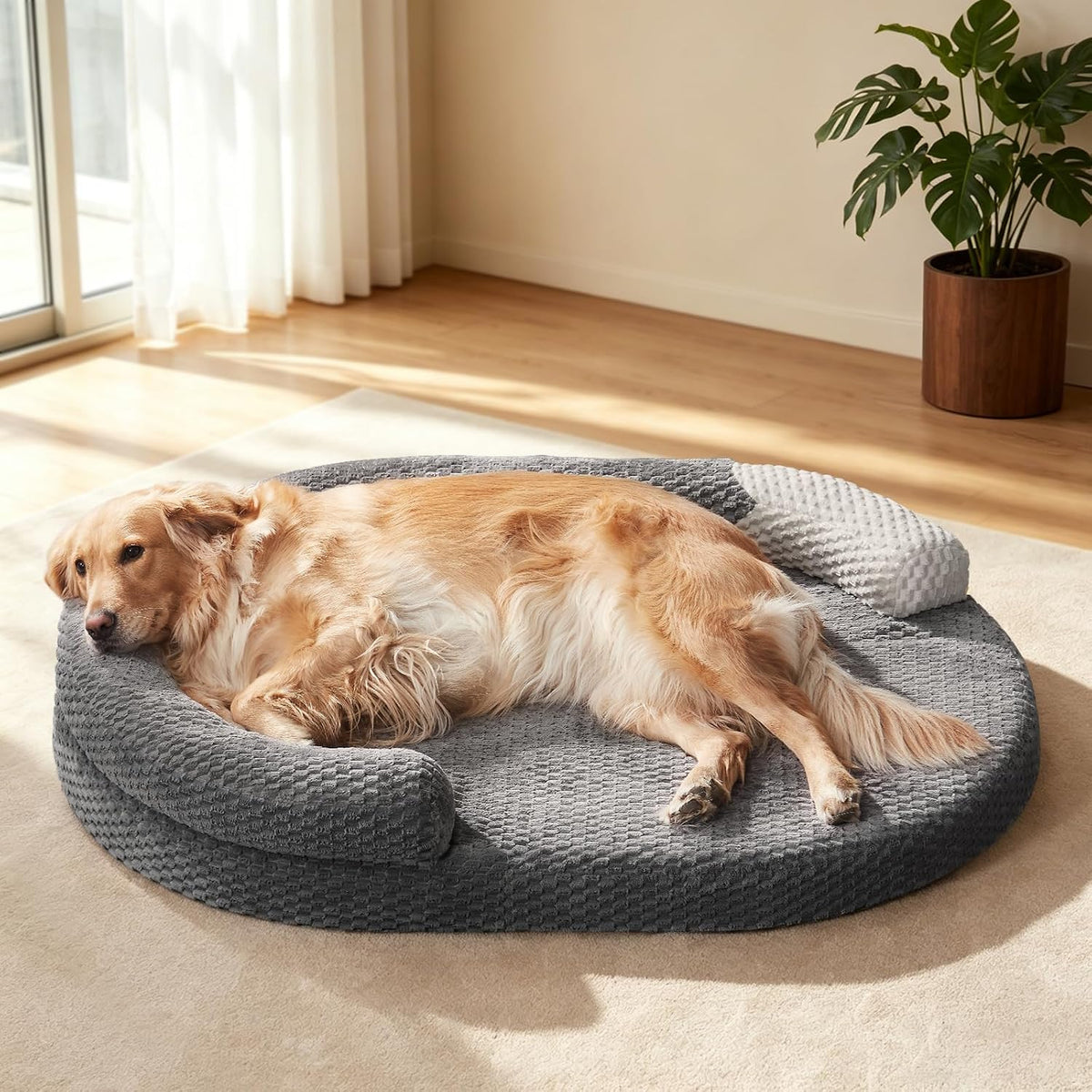 JOEJOY Orthopedic Large Dog Bed for Senior Dogs up to 70 Lbs, 42''X32''