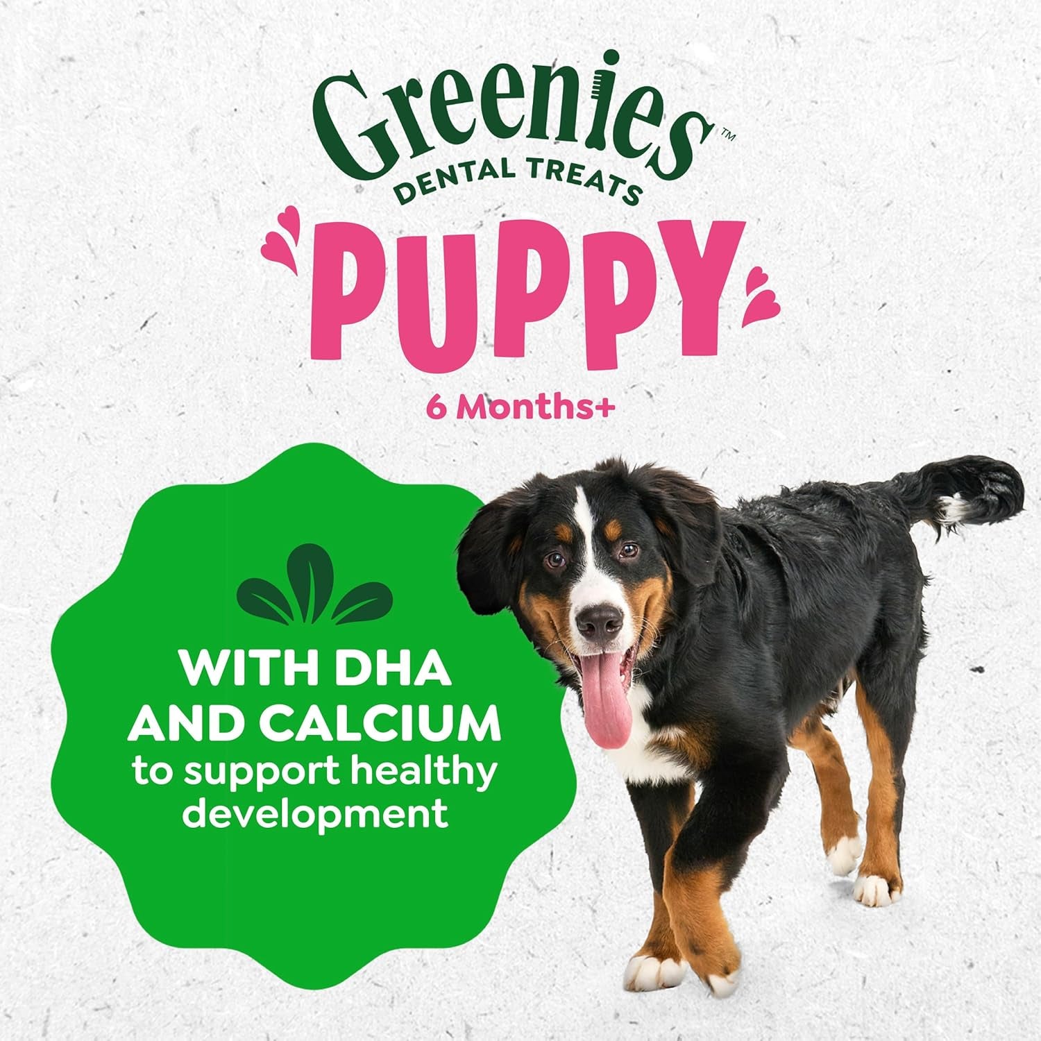 Greenies Veterinarian-Recommended Natural Dental Puppy Treats Petite Size, Dental Treats for Dogs, 12 Oz. Pack, 20 Count