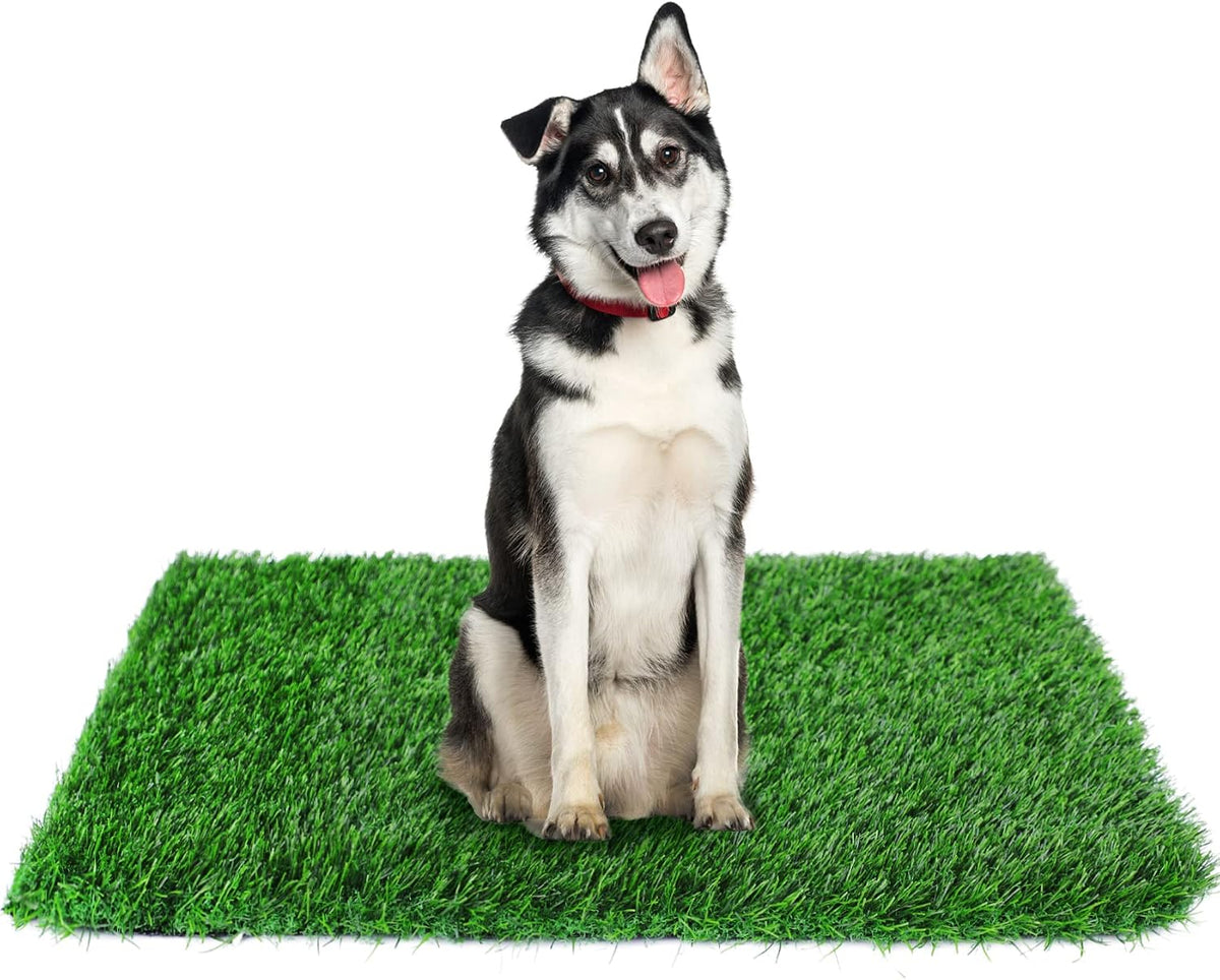 GLOBREEN 34" X 23" Fake Grass Pee Pad for Dogs Potty Training Turf Pets Mat - Easy to Clean with Drainage Holes - Indoor Outdoor Use