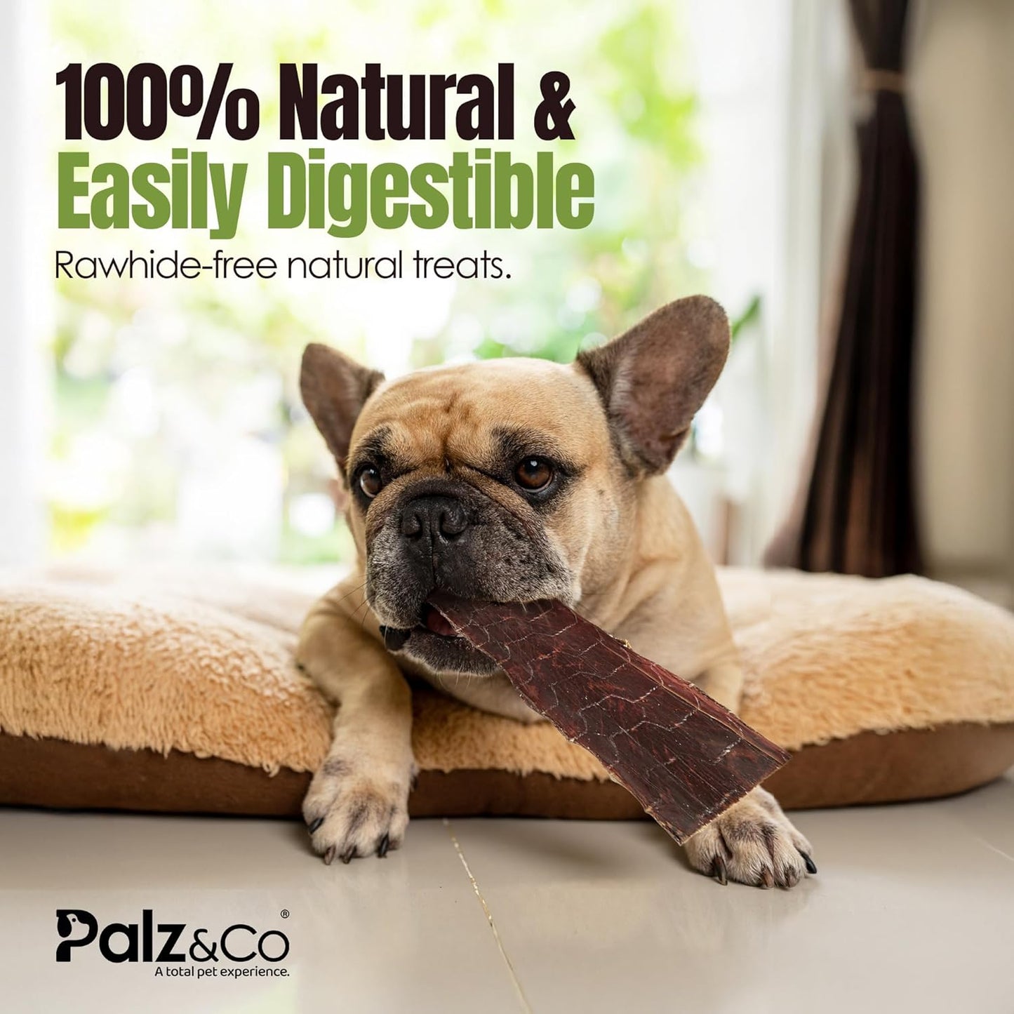 Palz&Co Moodog Beef Gullet Strips 8" for Dogs - High-Protein Chews, Supports Joint Health and Dental Hygiene, Easily Digestible, 5-Pack